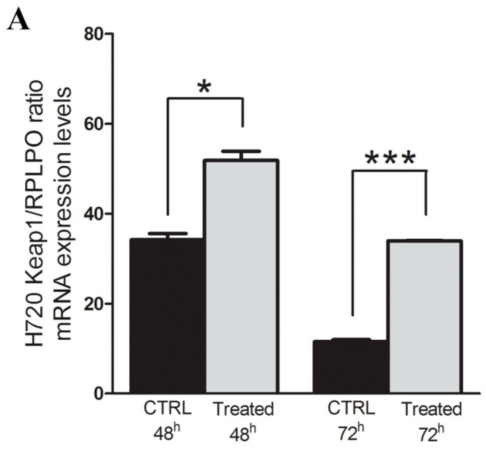 Ijms 20 02531 g003a Ijms 20 02531 g003a