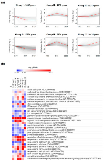 Ijms Free Full Text Transcriptome Analysis To Shed Light On The Molecular Mechanisms Of Early Responses To Cadmium In Roots And Leaves Of King Grass Pennisetum Americanum P Purpureum Html Ijms Free Full Text Transcriptome Analysis To Shed Light On The Molecular Mechanisms Of Early Responses To Cadmium In Roots And Leaves Of King Grass Pennisetum Americanum P Purpureum Html