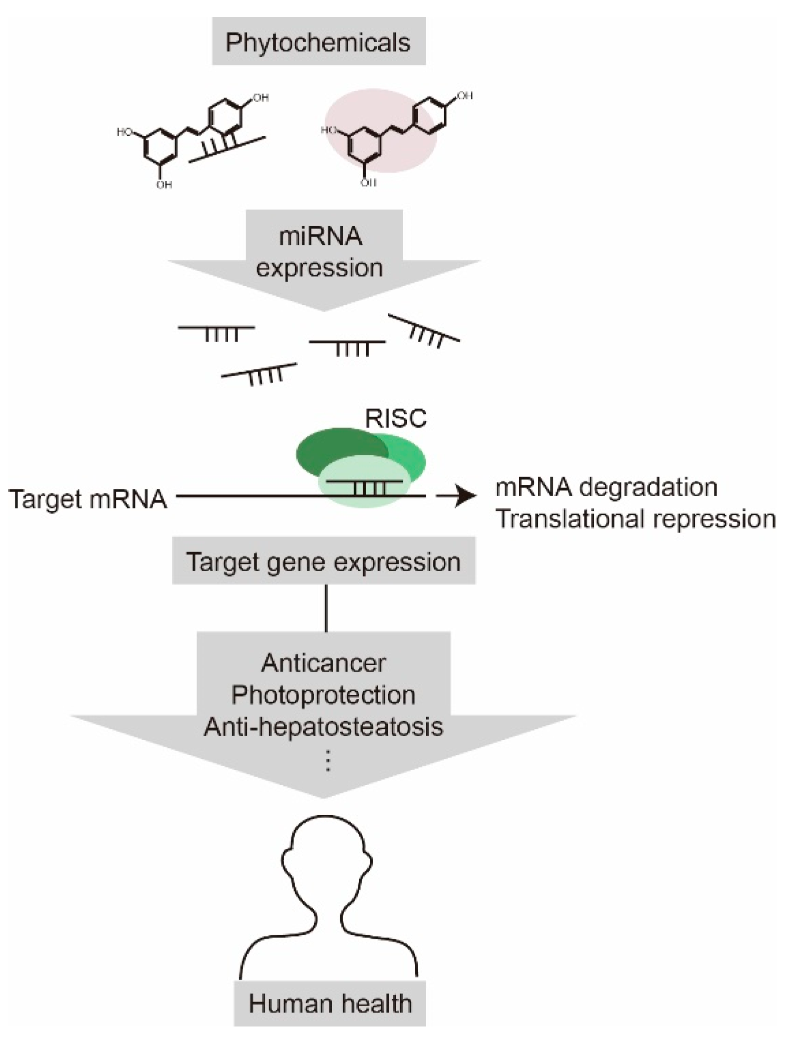 Ijms 20 02535 g002 Ijms 20 02535 g002