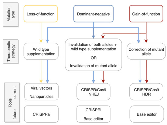 Ijms Free Full Text Genome Editing As A Treatment For The Most Prevalent Causative Genes Of Autosomal Dominant Retinitis Pigmentosa Html
