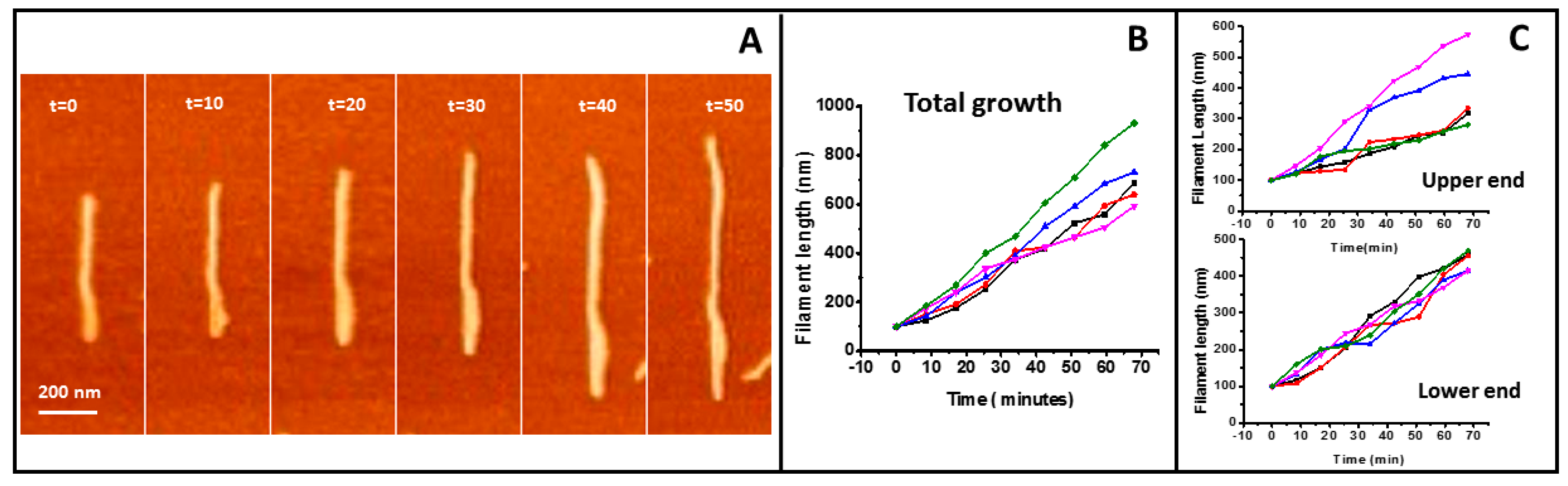Ijms 20 02545 g003 Ijms 20 02545 g003