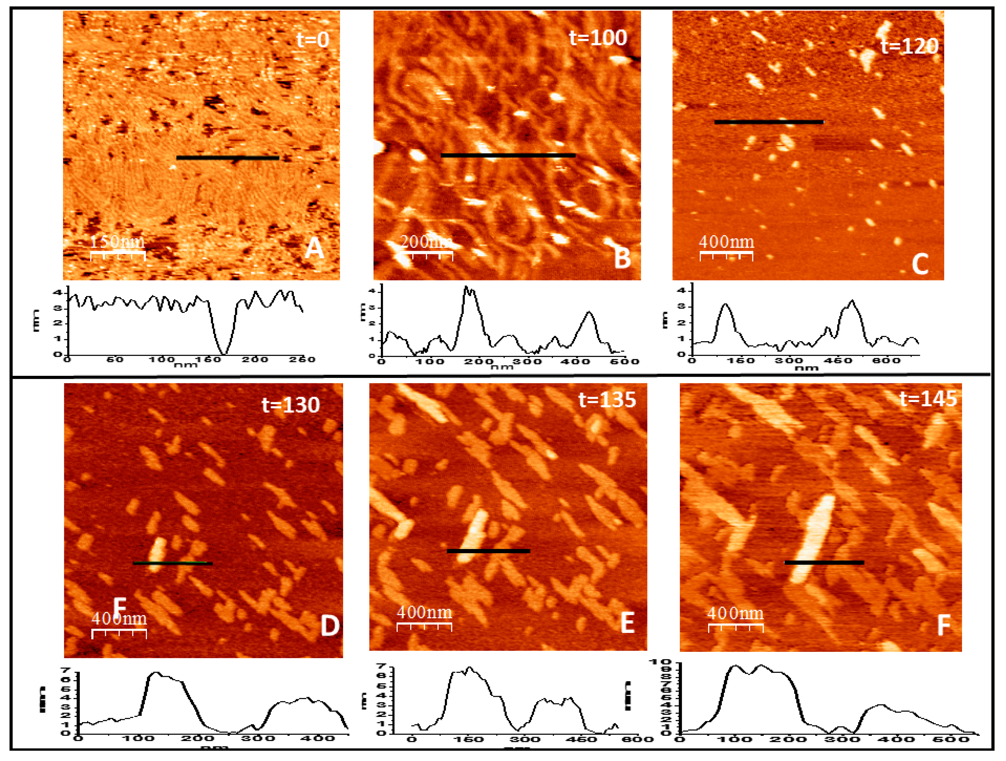 Ijms 20 02545 g005 Ijms 20 02545 g005