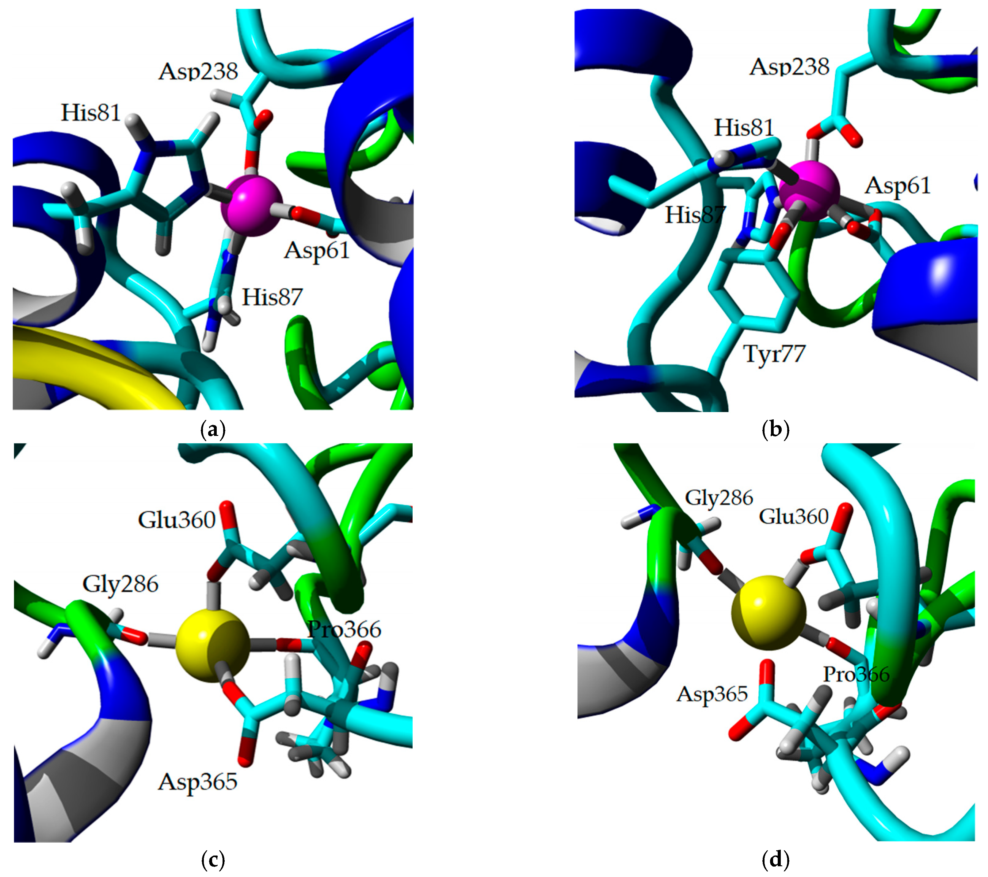 Ijms 20 02561 g009 Ijms 20 02561 g009