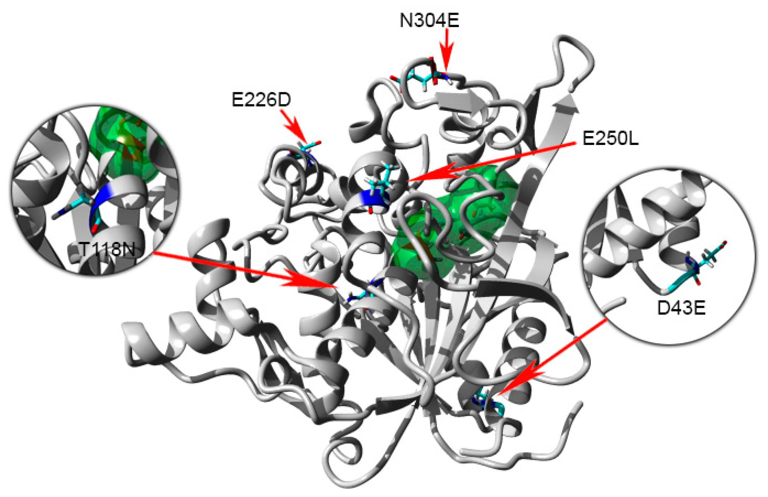 Ijms 20 02561 g010 Ijms 20 02561 g010