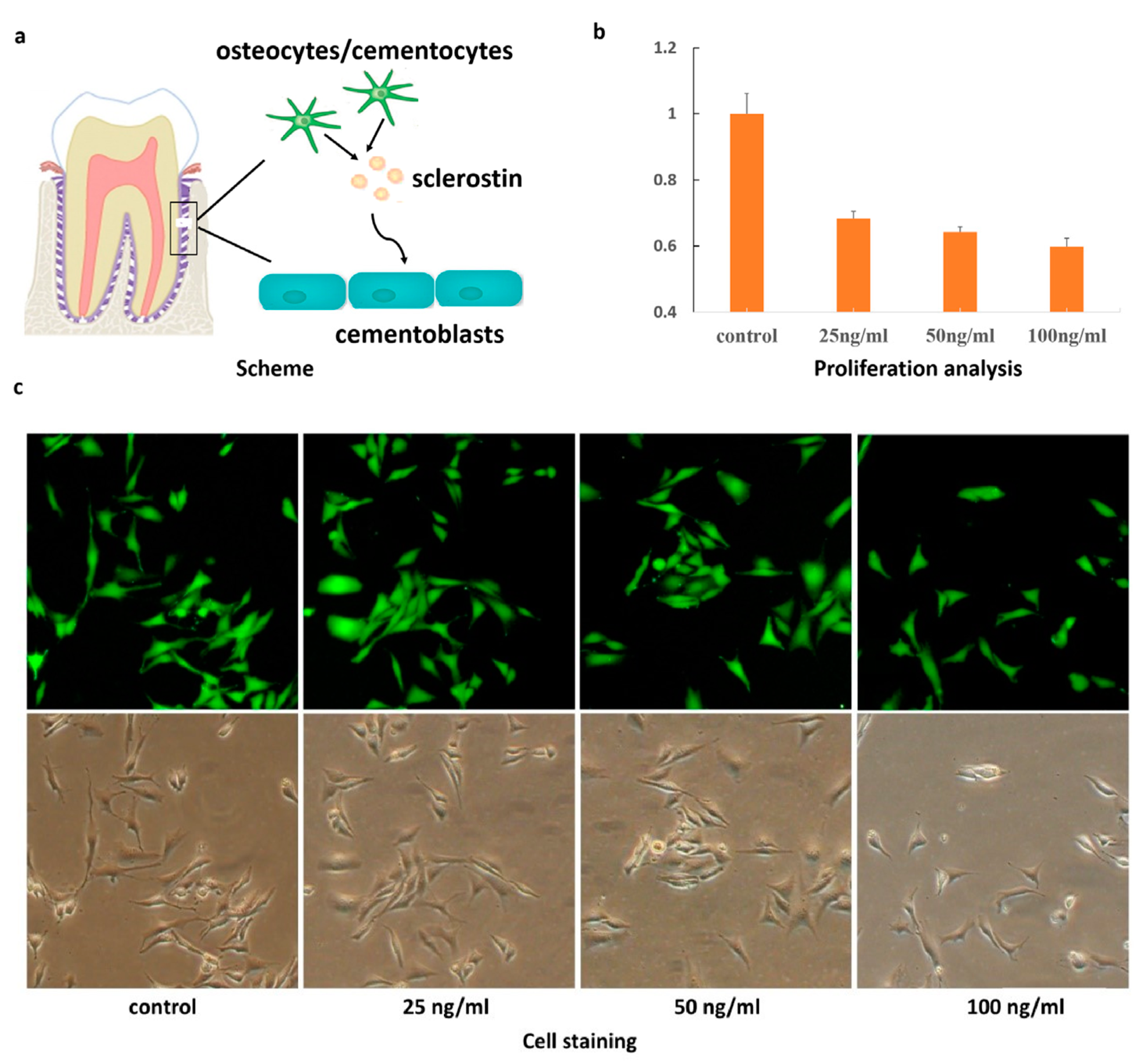 Ijms 20 02562 g001 550