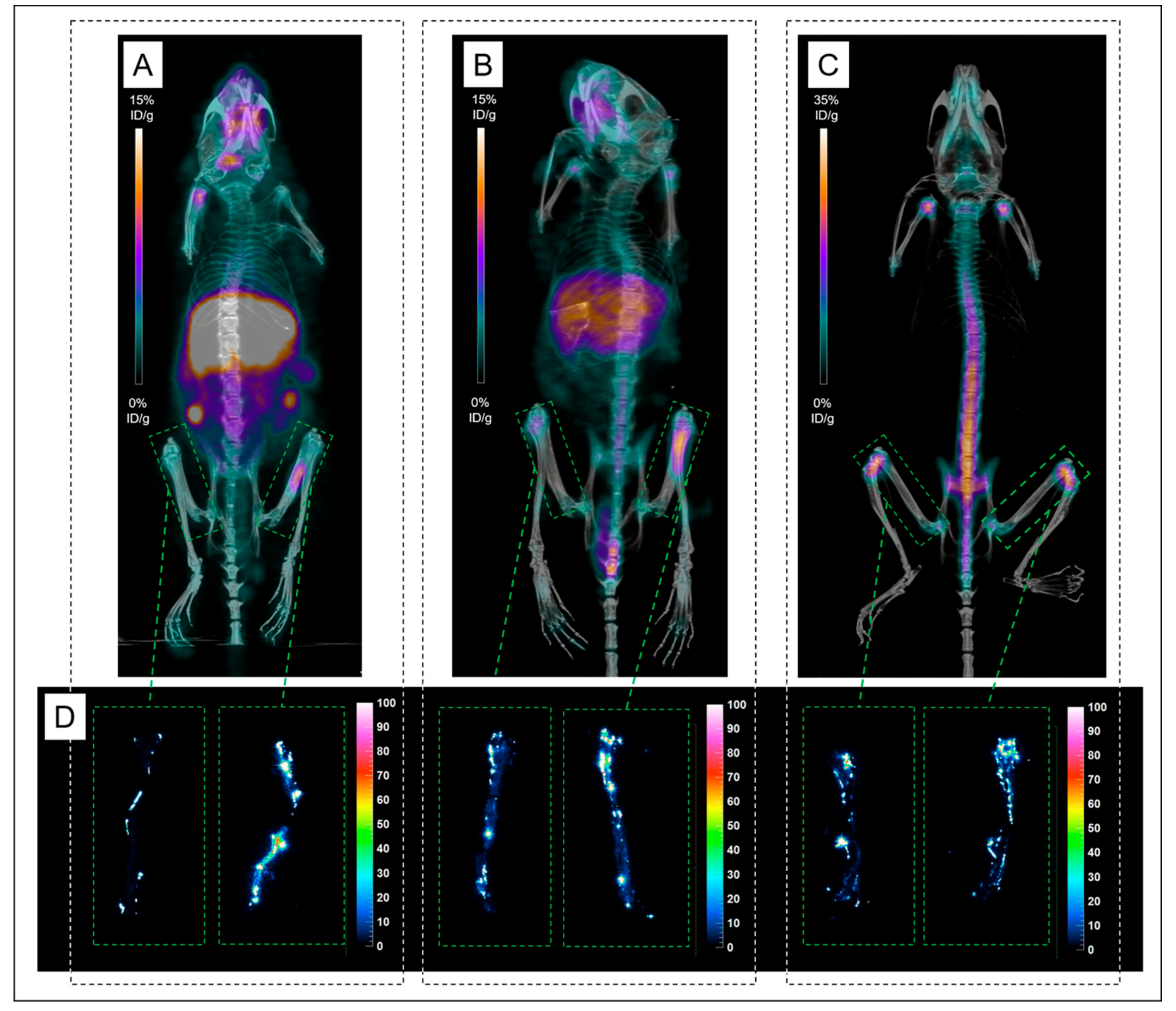 Ijms 20 02564 g005 Ijms 20 02564 g005
