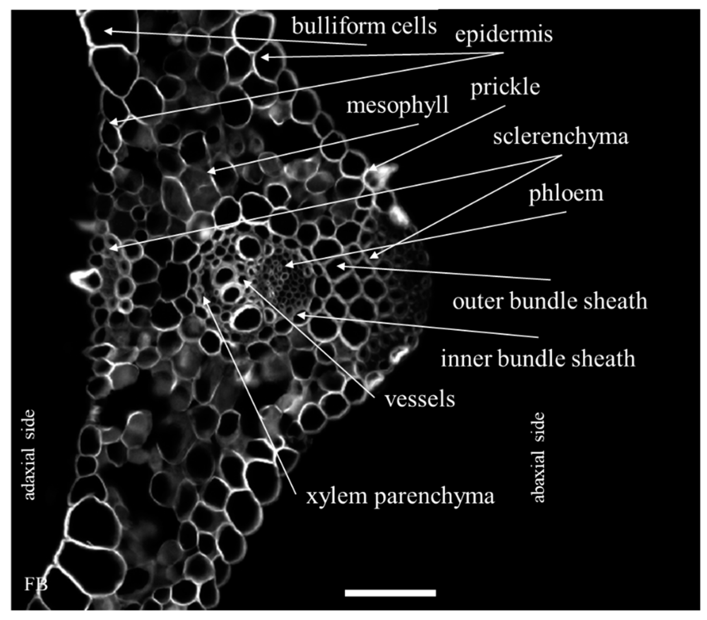 Ijms 20 02571 g001 Ijms 20 02571 g001
