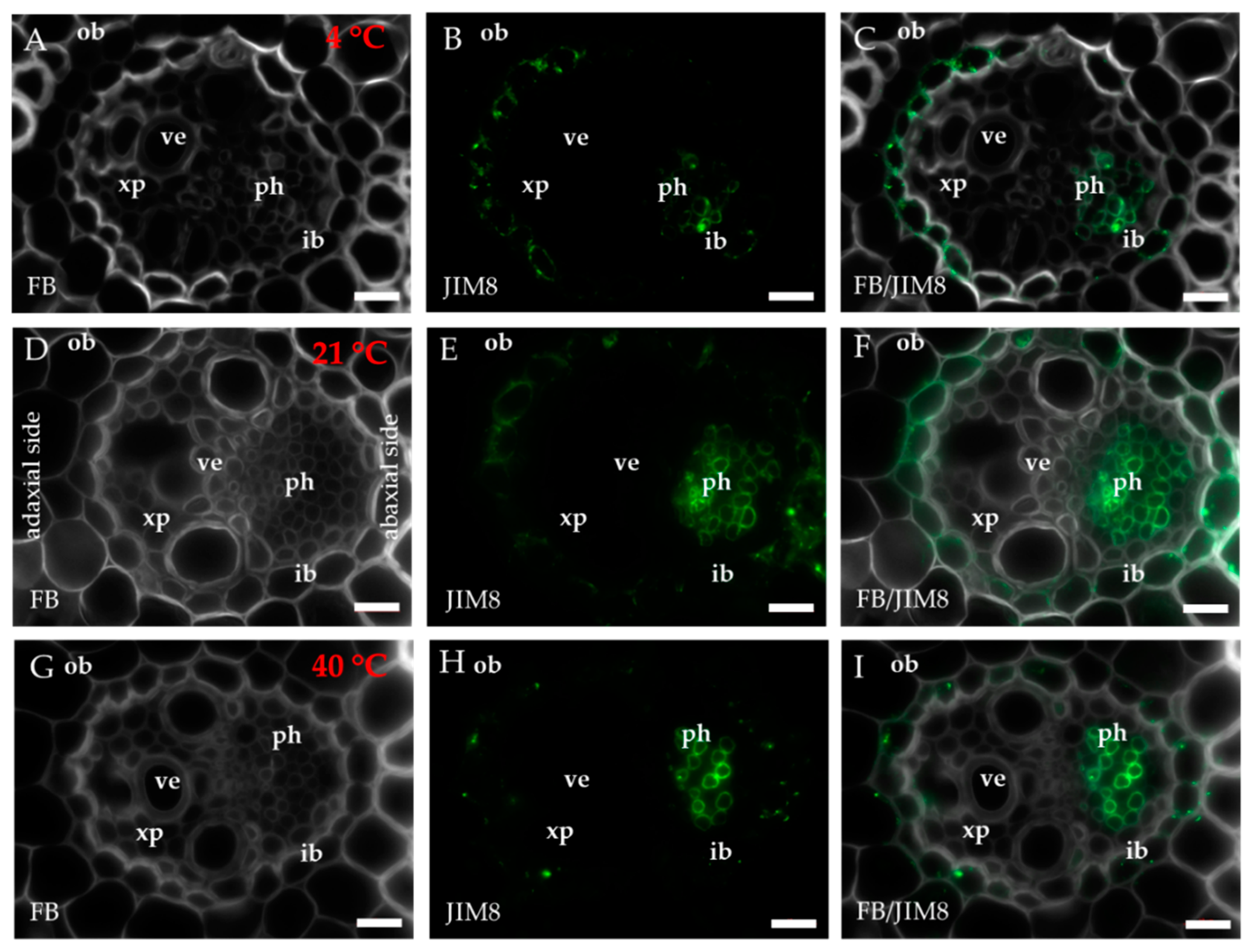 Ijms 20 02571 g002 Ijms 20 02571 g002