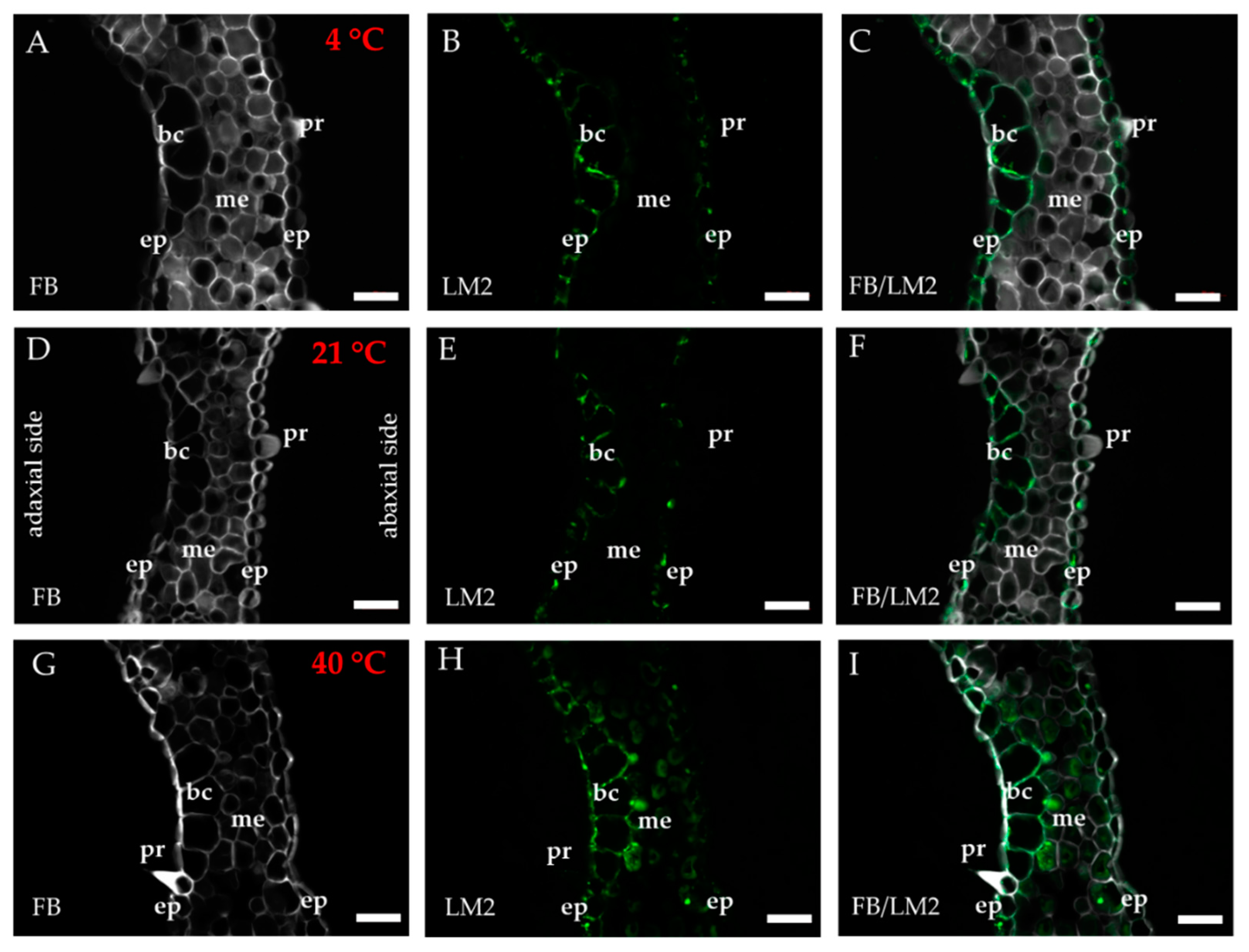 Ijms 20 02571 g005 Ijms 20 02571 g005