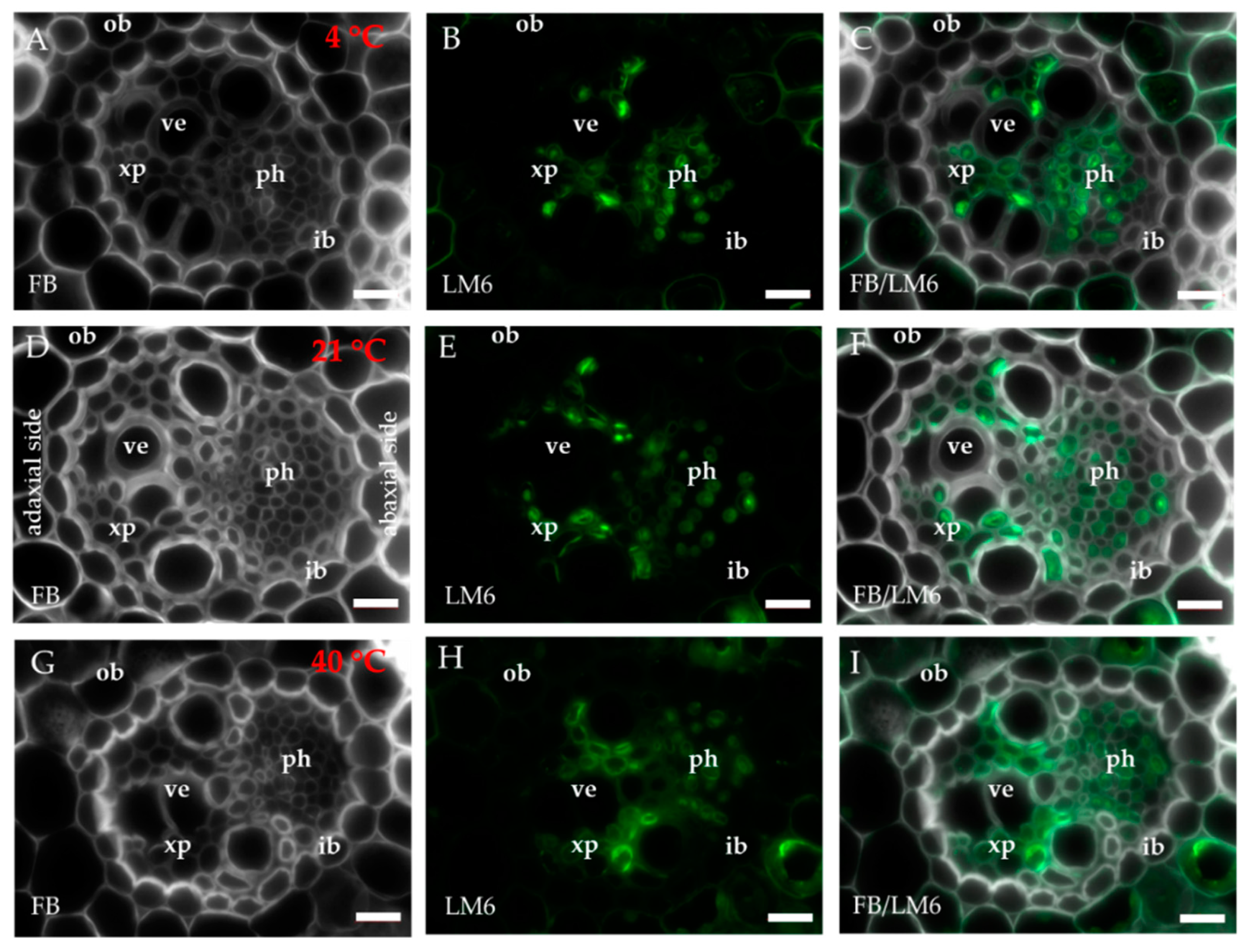 Ijms 20 02571 g006 Ijms 20 02571 g006