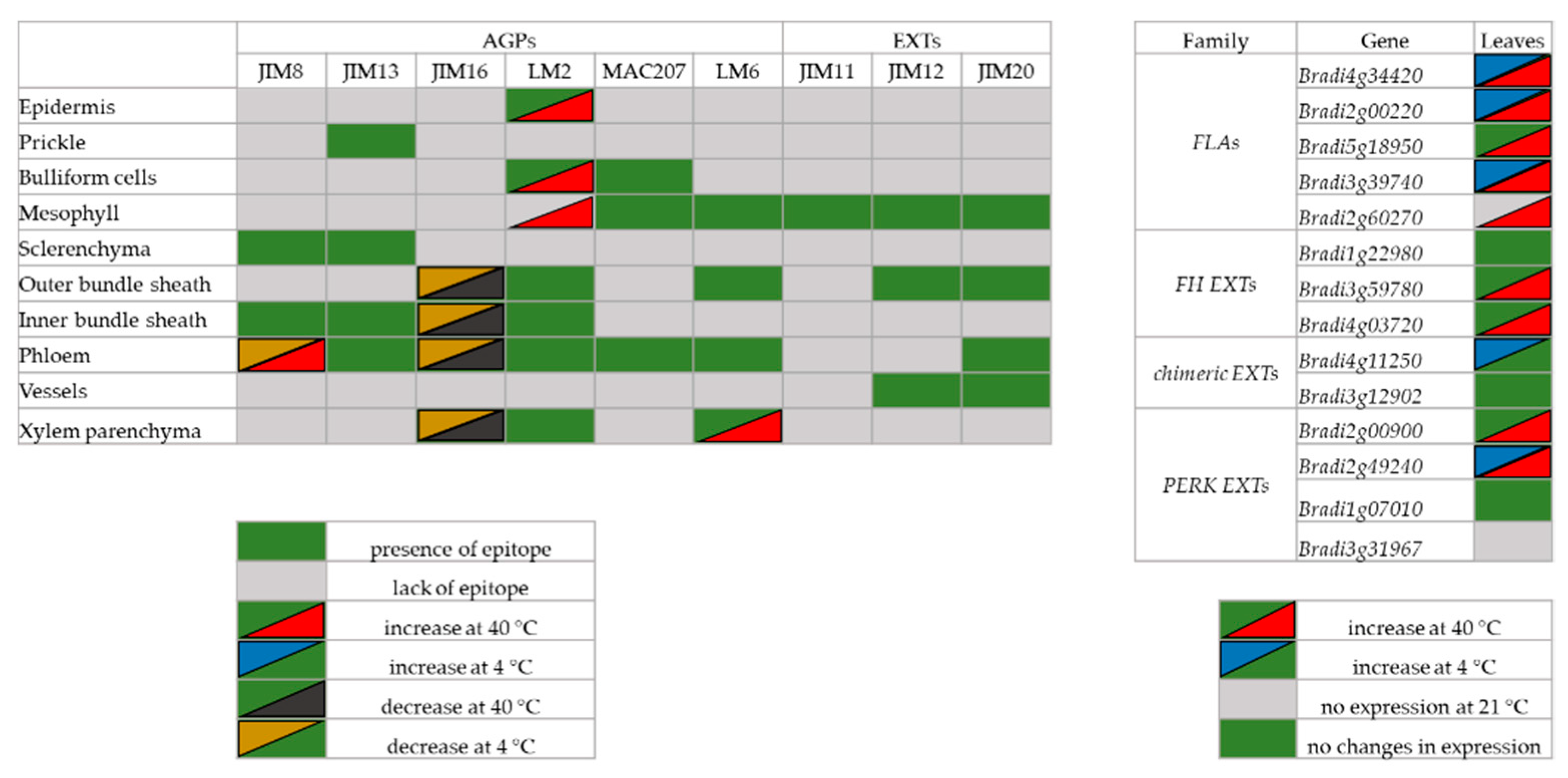 Ijms 20 02571 g009 Ijms 20 02571 g009