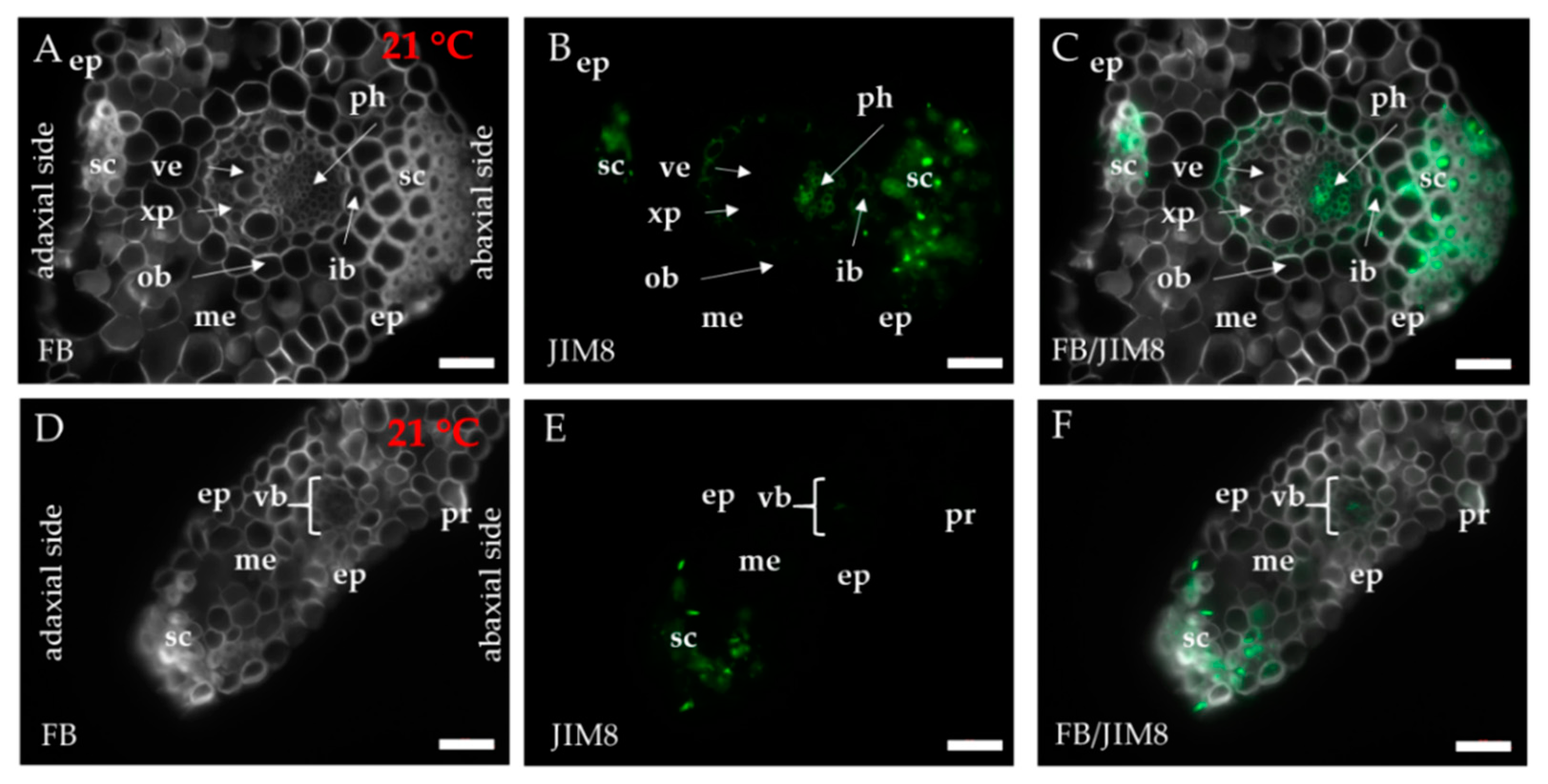 Ijms 20 02571 g0a1 Ijms 20 02571 g0a1