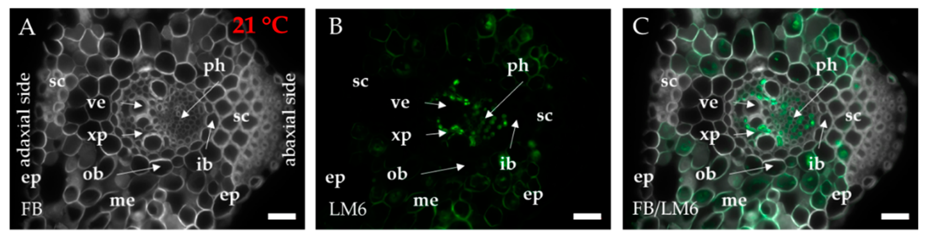 Ijms 20 02571 g0a4 Ijms 20 02571 g0a4