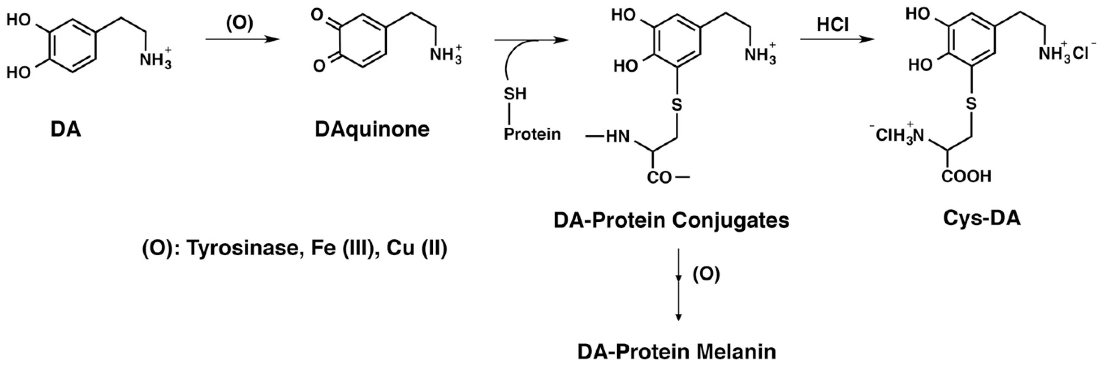 Ijms 20 02575 g001 Ijms 20 02575 g001
