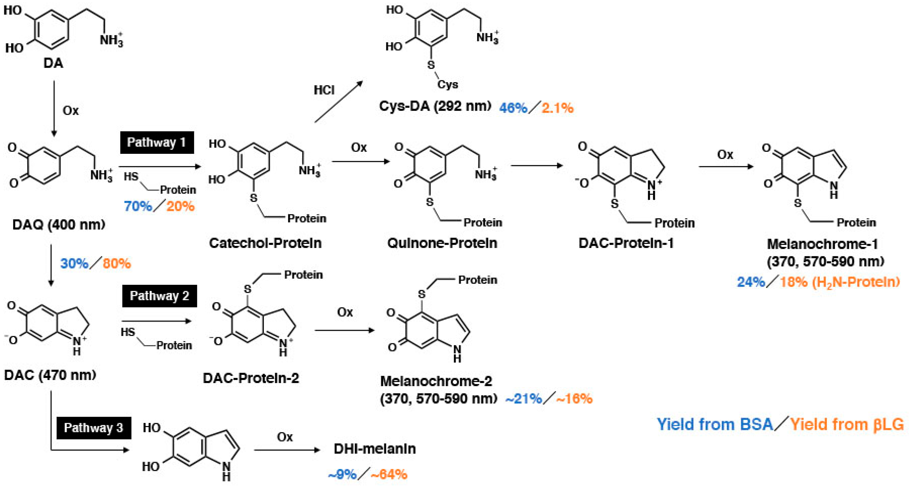 Ijms 20 02575 g008 Ijms 20 02575 g008