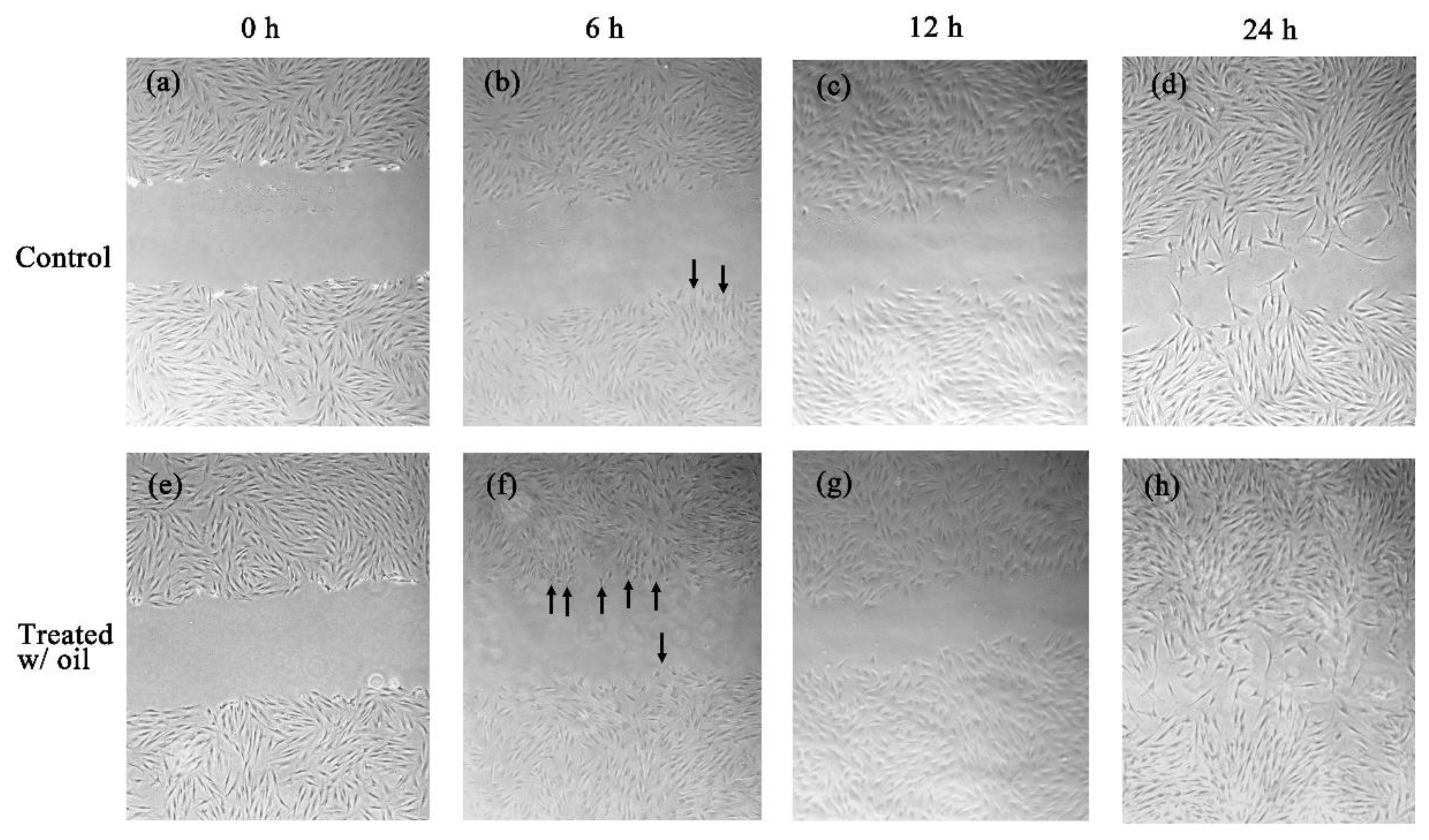 Ijms 20 02579 g005 Ijms 20 02579 g005