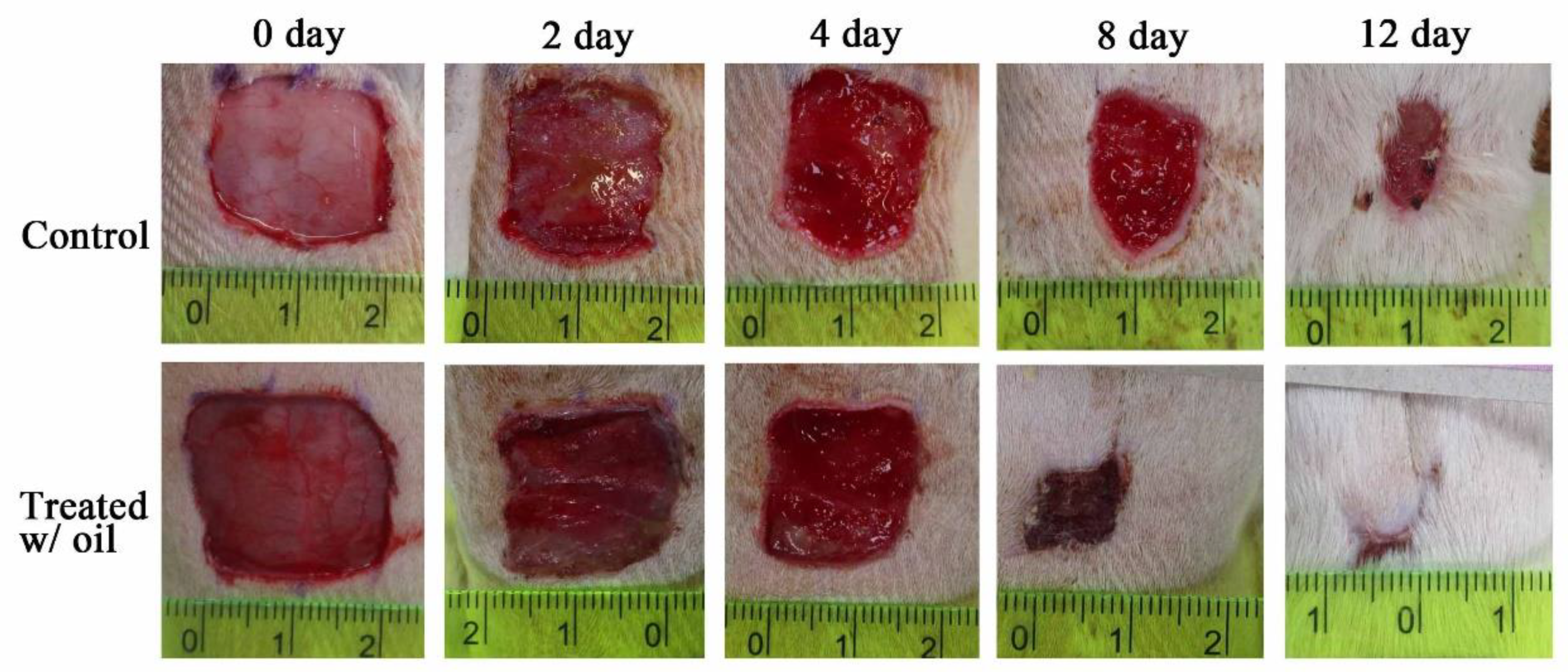 Ijms 20 02579 g007 Ijms 20 02579 g007