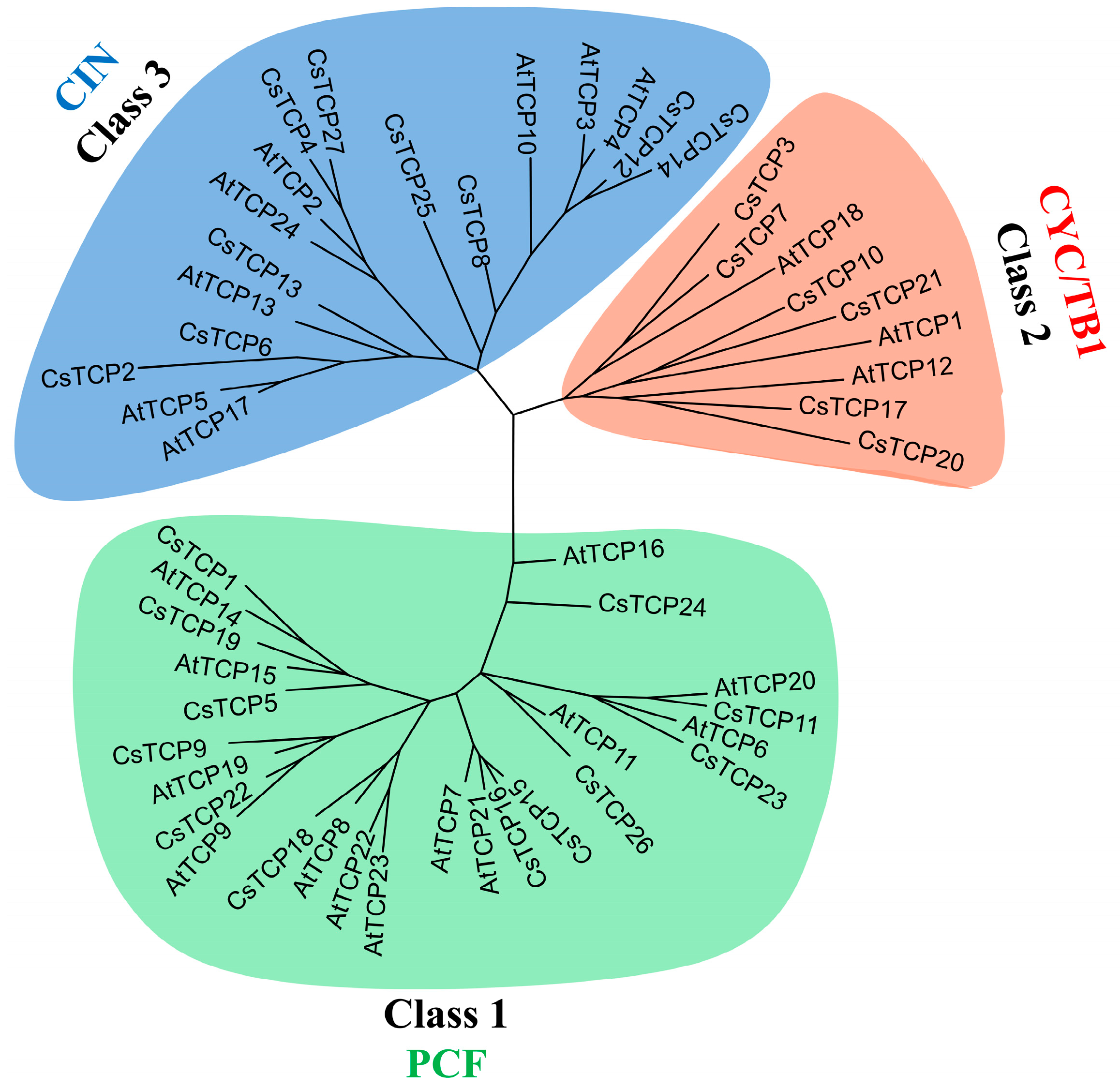 Ijms 20 02582 g001 Ijms 20 02582 g001