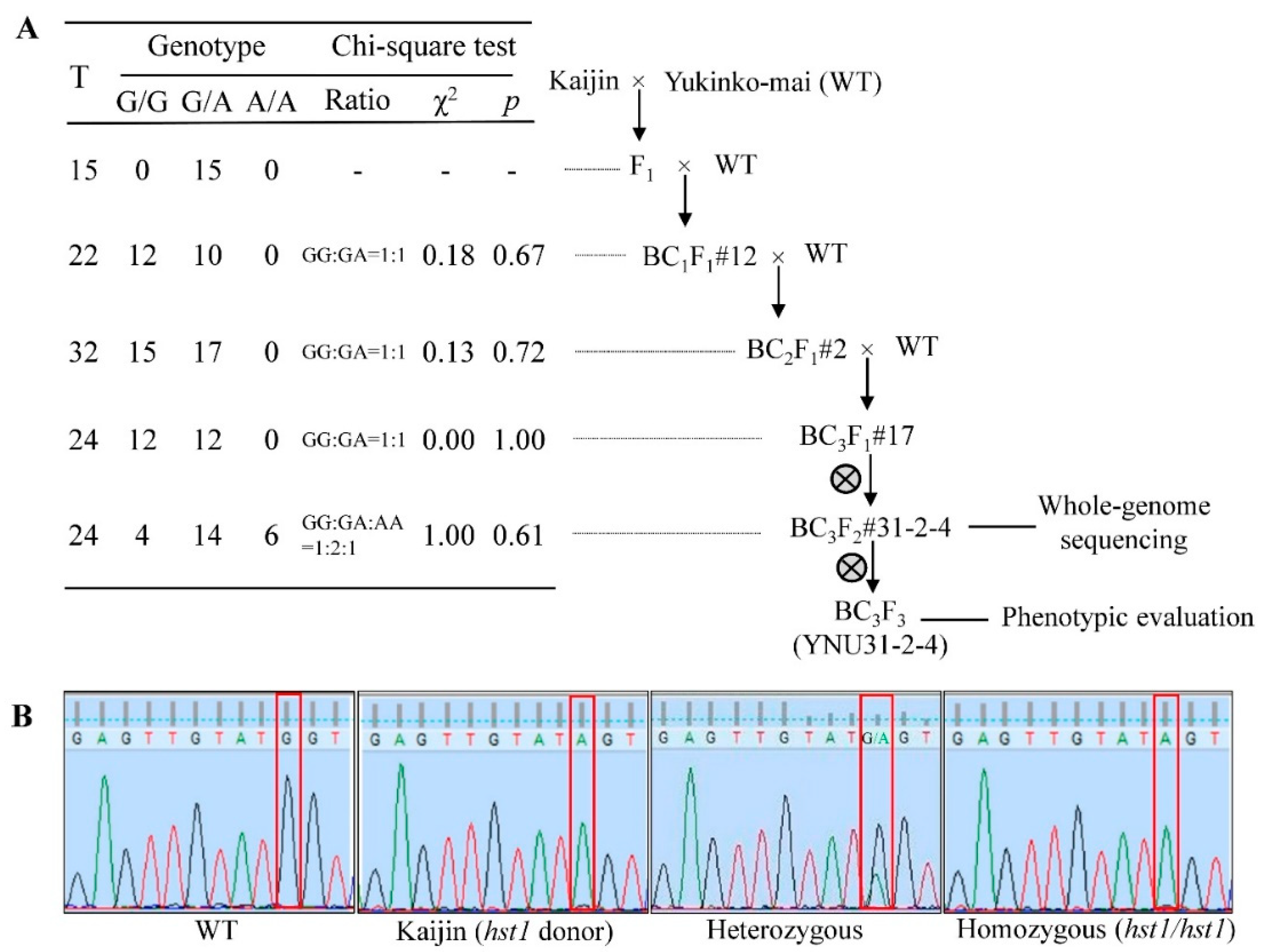 Ijms 20 02585 g001 Ijms 20 02585 g001