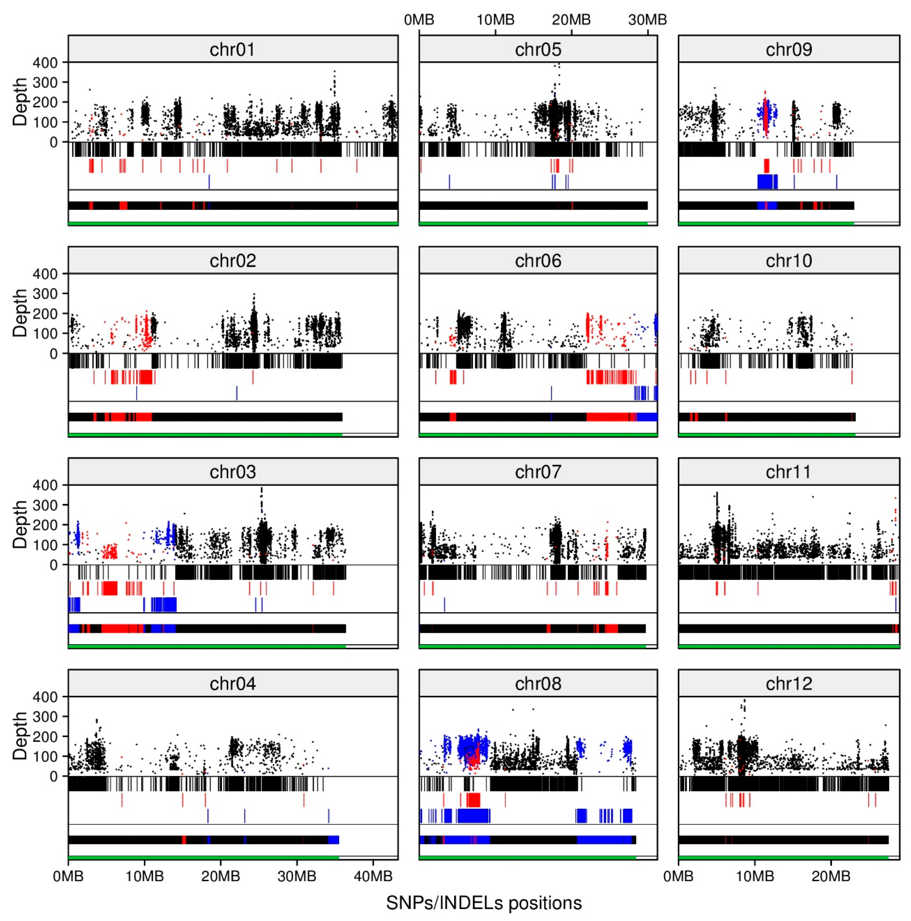 Ijms 20 02585 g002 Ijms 20 02585 g002