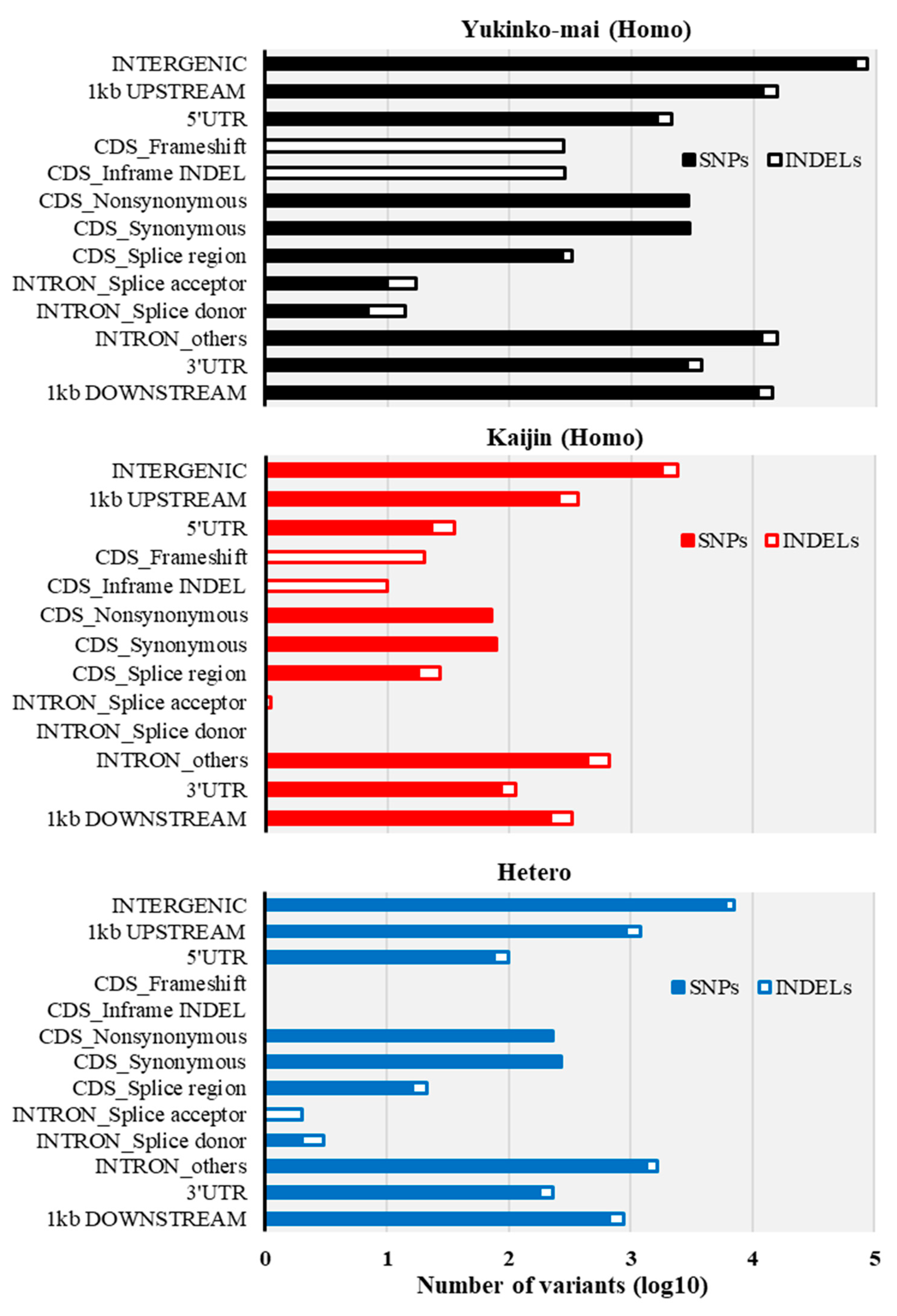 Ijms 20 02585 g003 Ijms 20 02585 g003