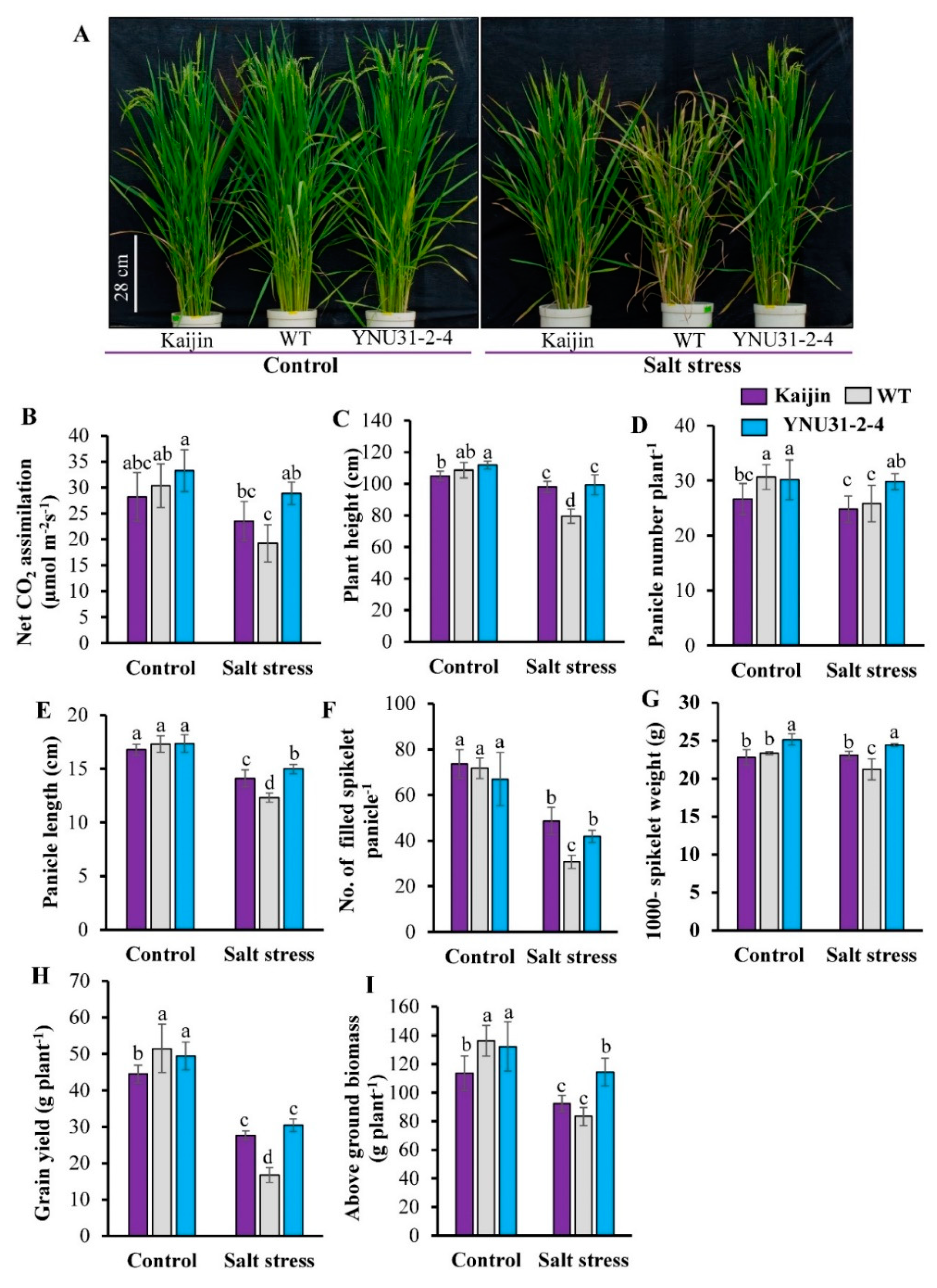 Ijms 20 02585 g007 Ijms 20 02585 g007