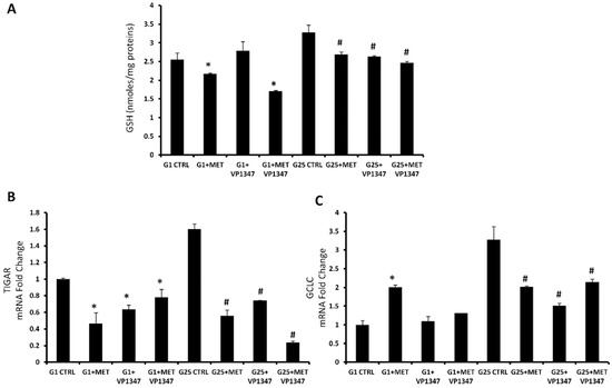 Heme Oxygenase-1 Inhibition Sensitizes Human Prostate Cancer