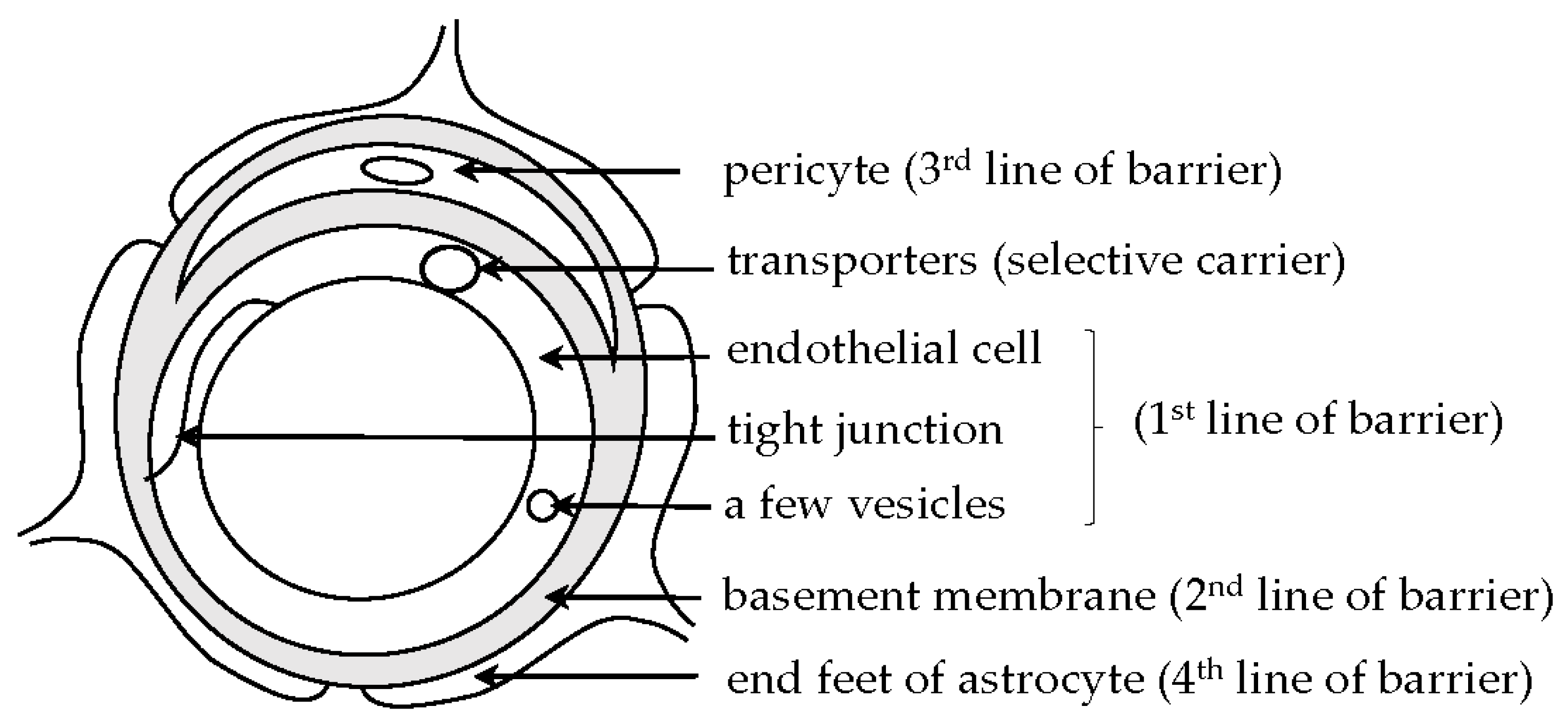 Ijms 20 02600 g001 Ijms 20 02600 g001