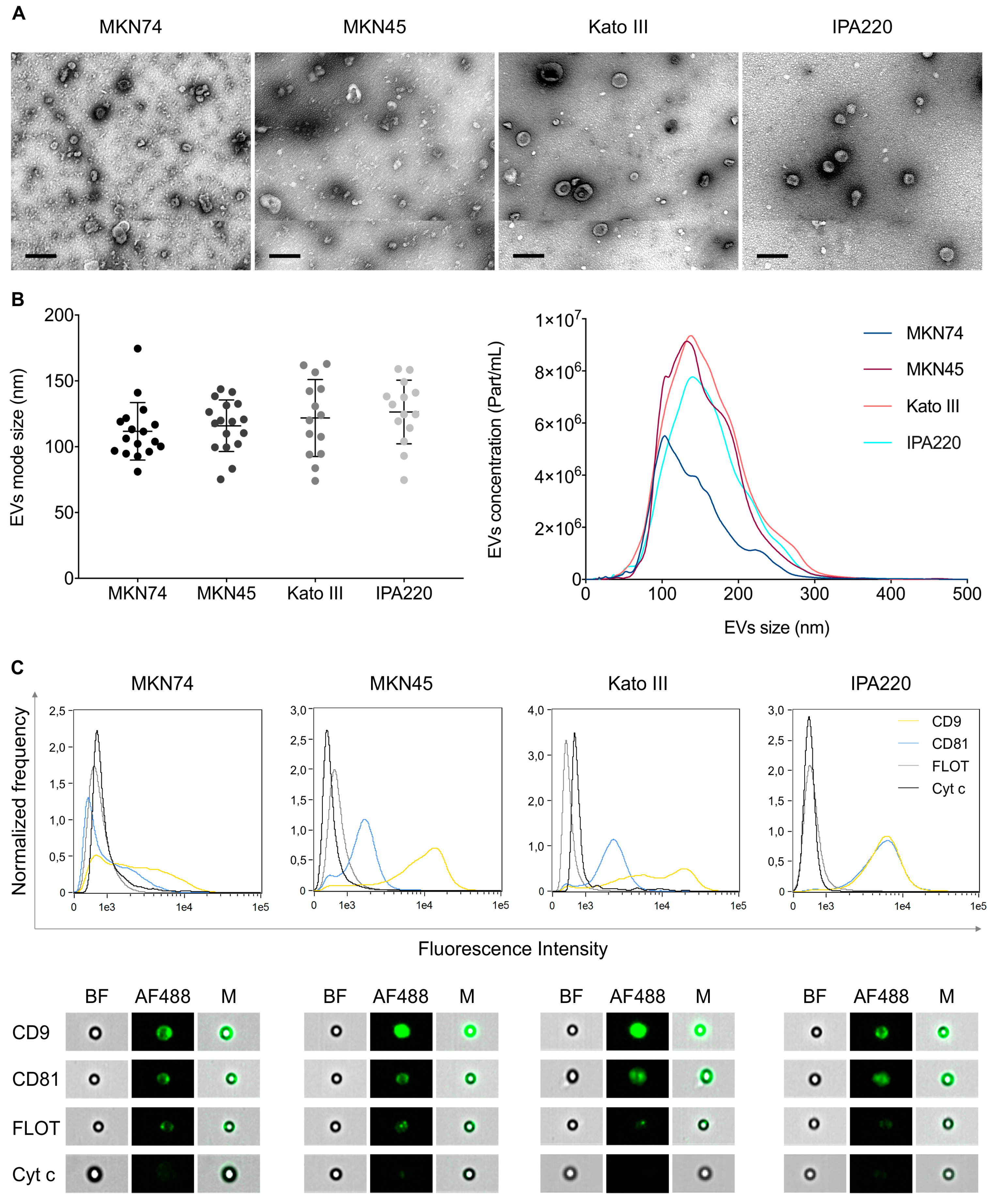 Ijms 20 02608 g003