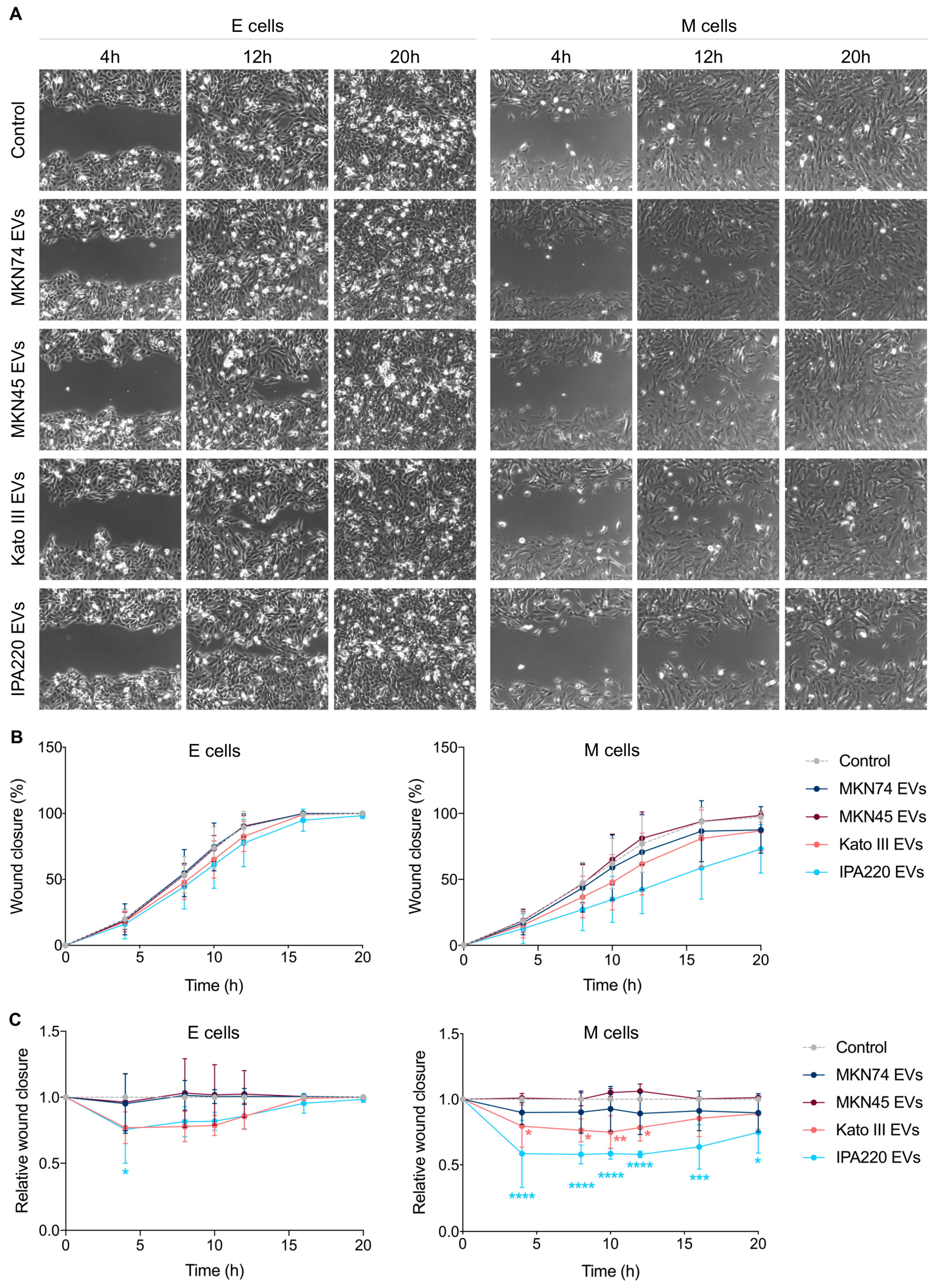 Ijms 20 02608 g005