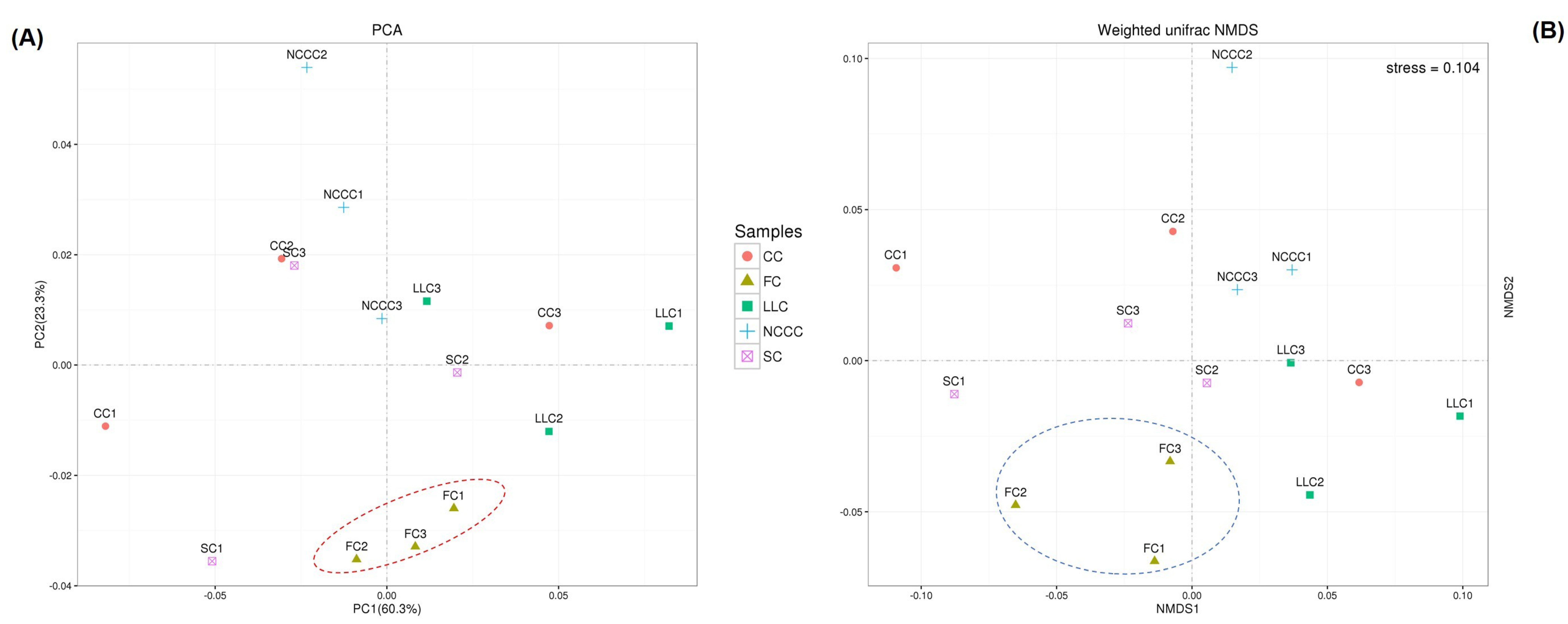Ijms 20 02619 g003 Ijms 20 02619 g003