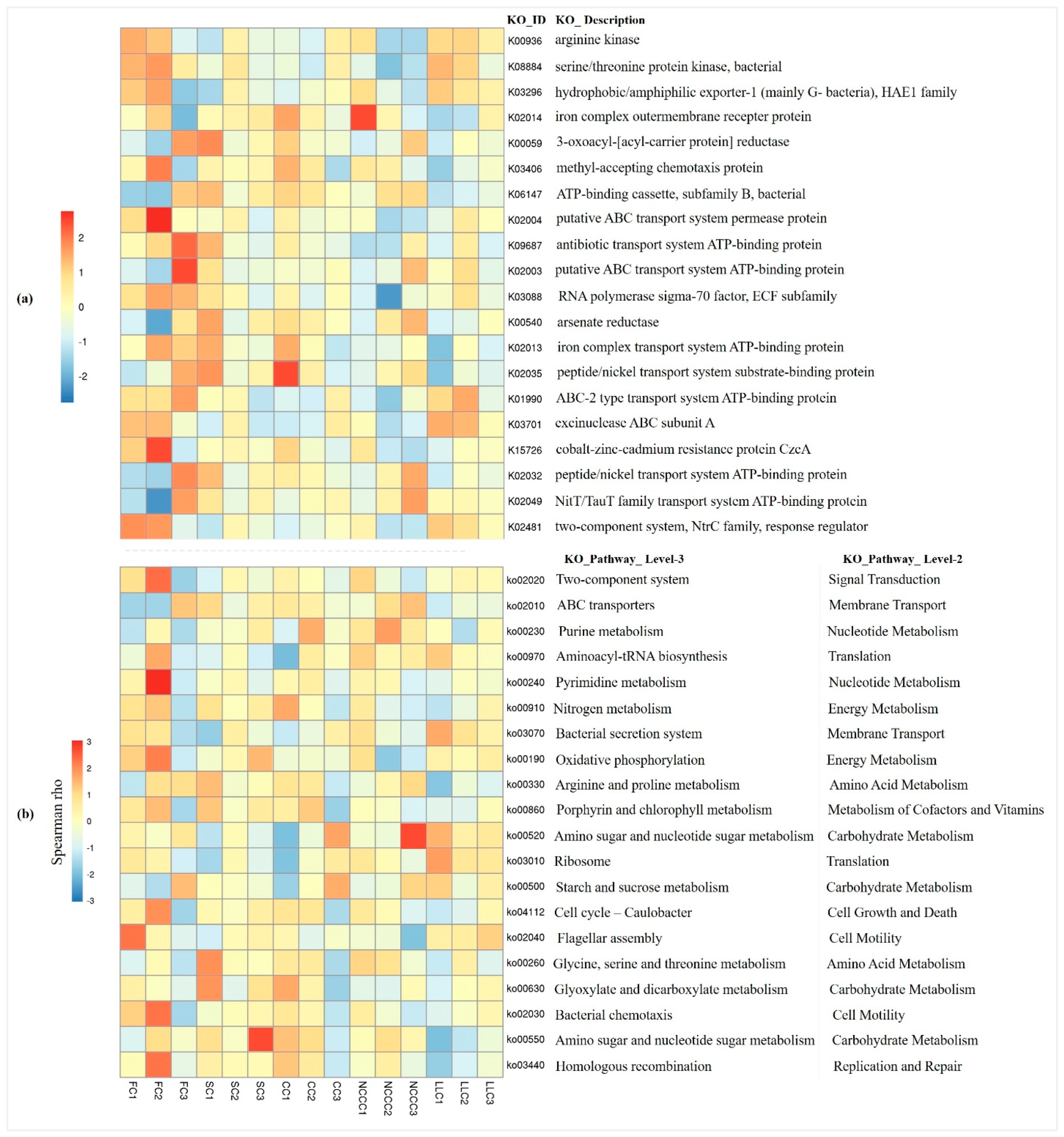 Ijms 20 02619 g007 Ijms 20 02619 g007