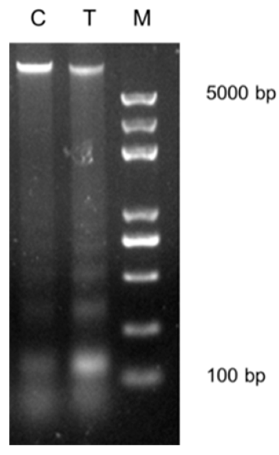 Ijms 20 02628 g001 Ijms 20 02628 g001