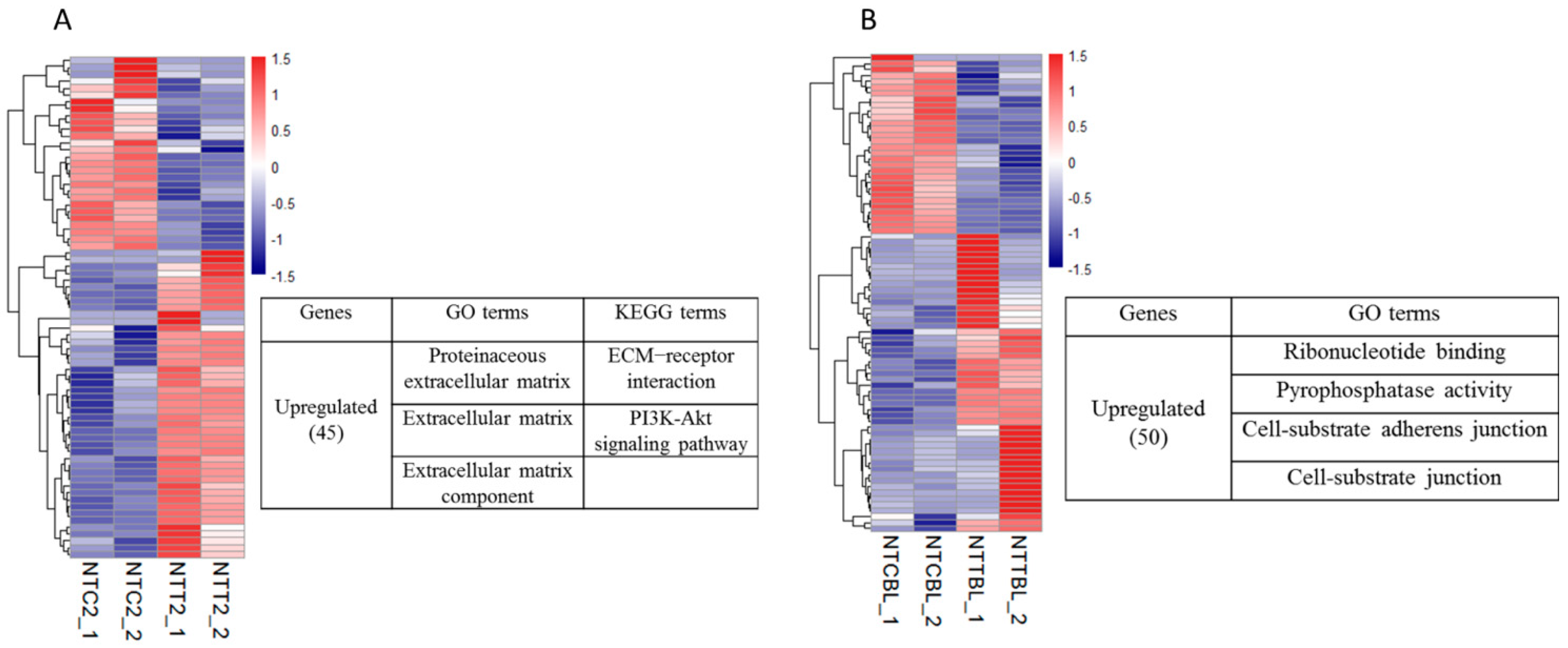 Ijms 20 02628 g002 Ijms 20 02628 g002