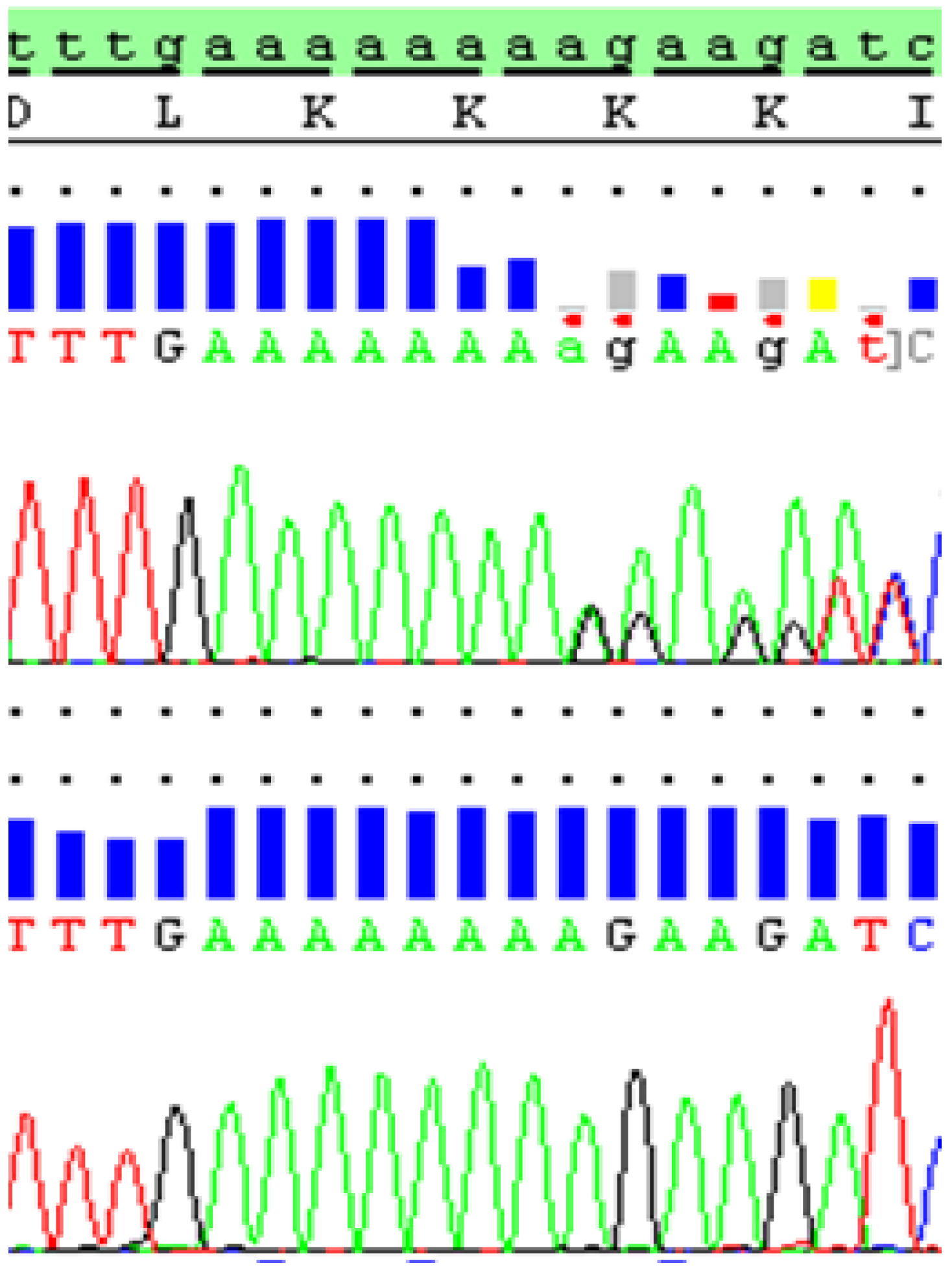 Ijms 20 02631 g002 550