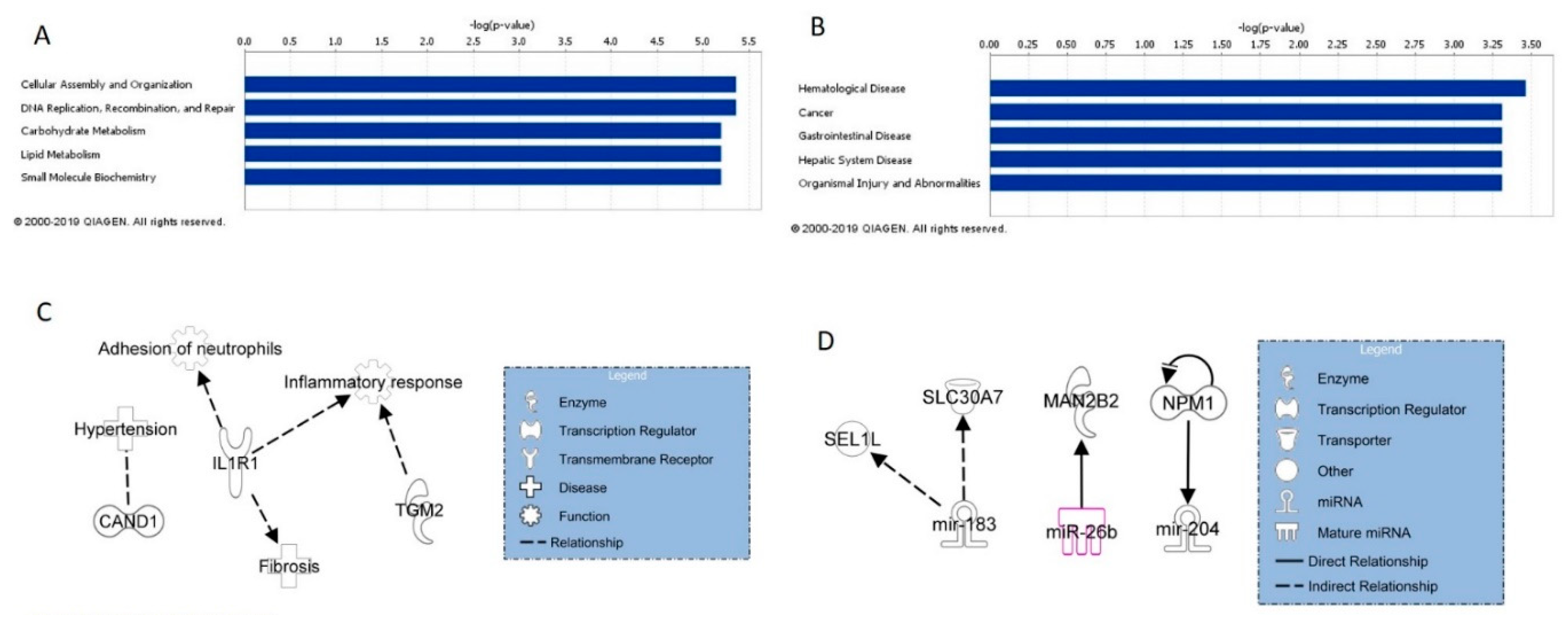 Ijms 20 02635 g001 Ijms 20 02635 g001