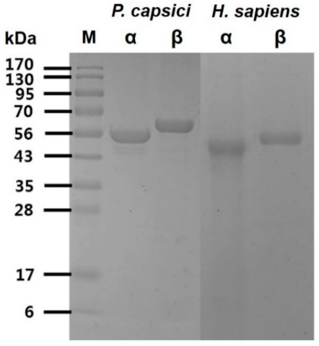 Ijms 20 02641 g001 550