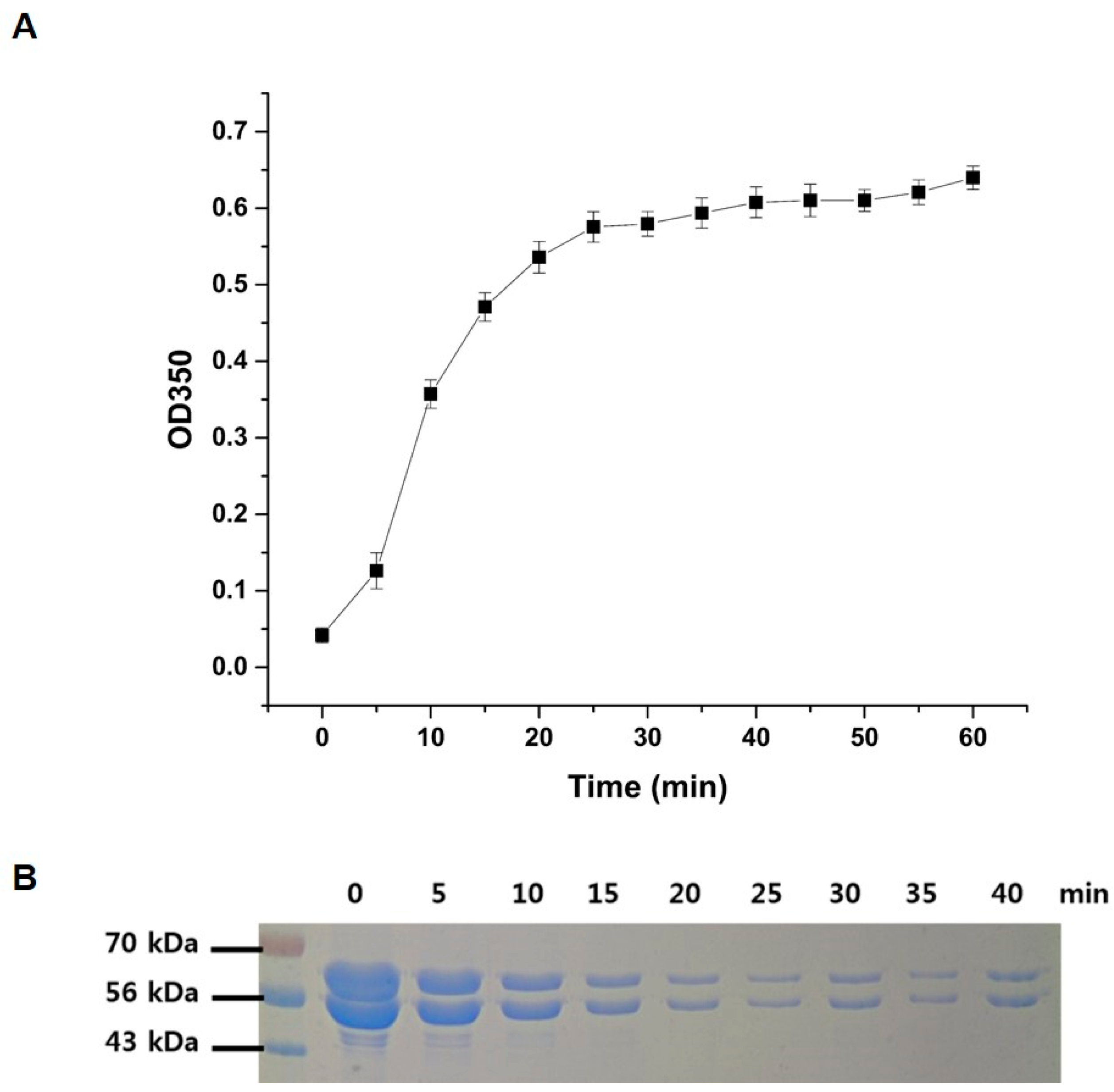 Ijms 20 02641 g002 550