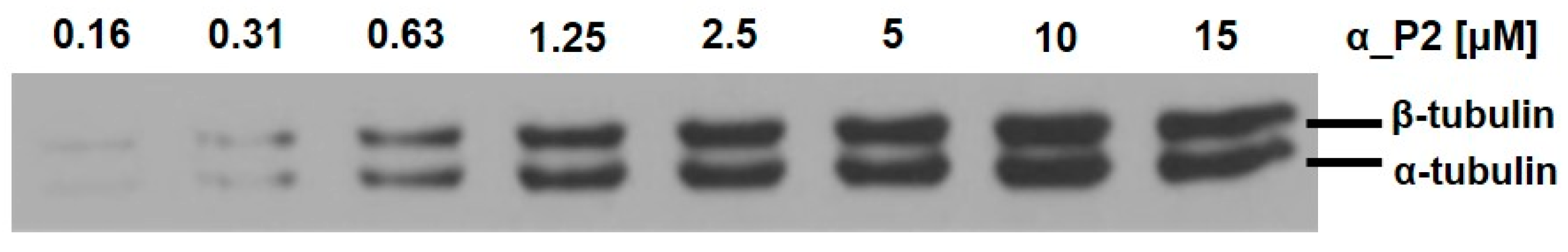 Ijms 20 02641 g006 550