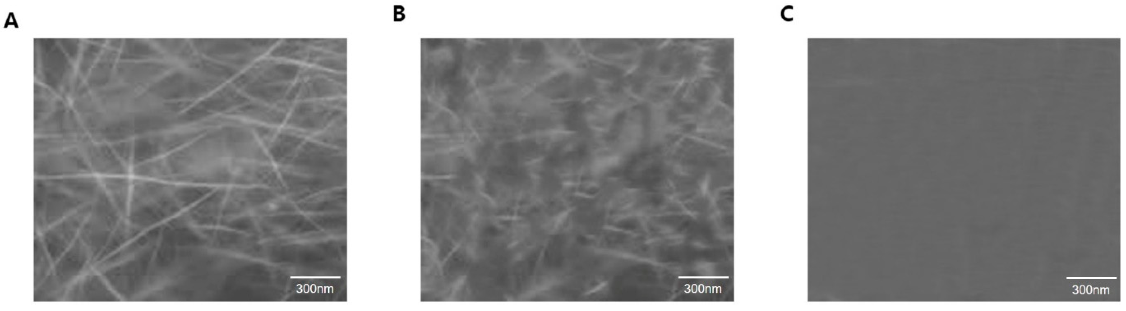 Ijms 20 02641 g007 550