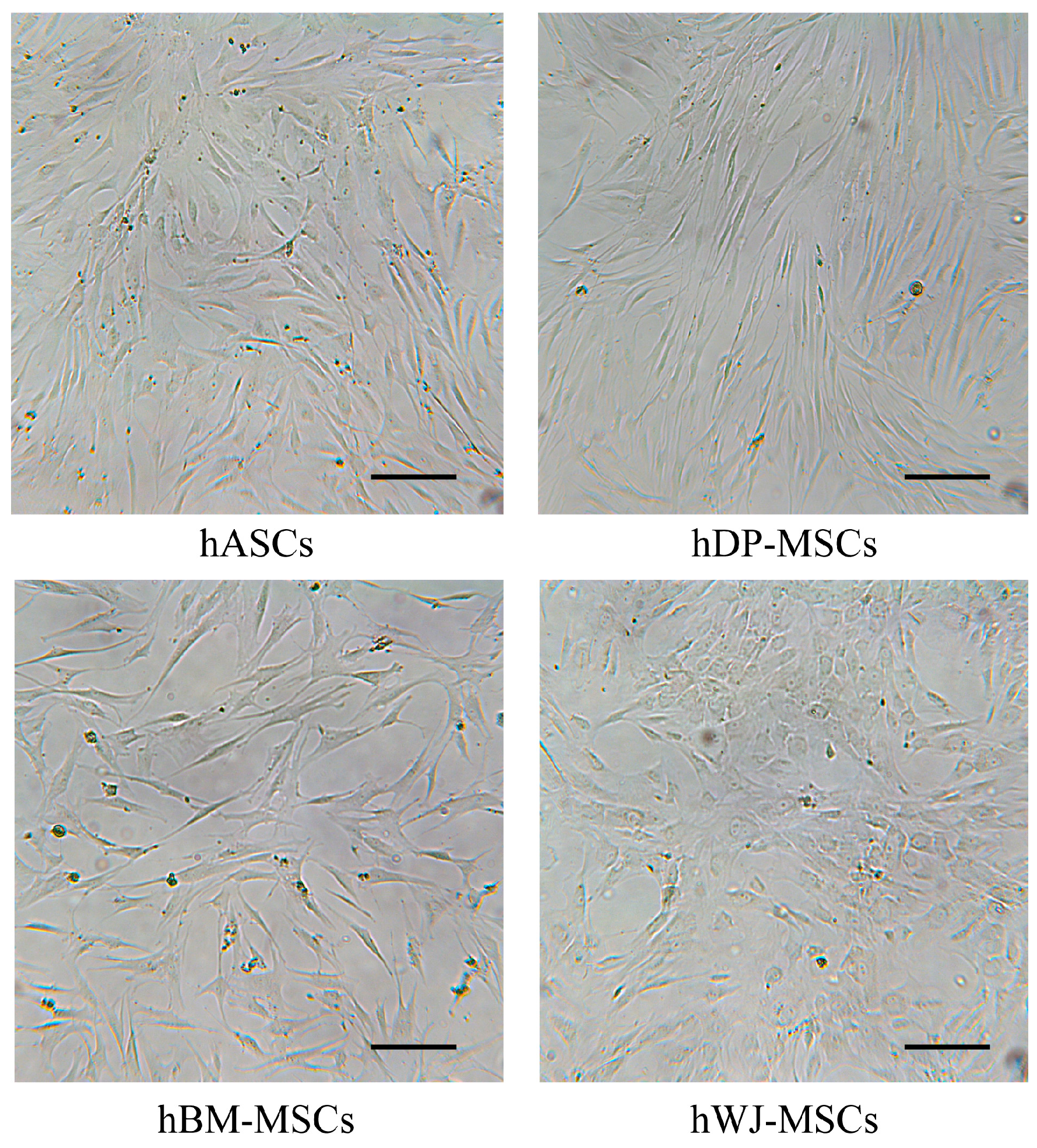 Ijms 20 02646 g001 Ijms 20 02646 g001