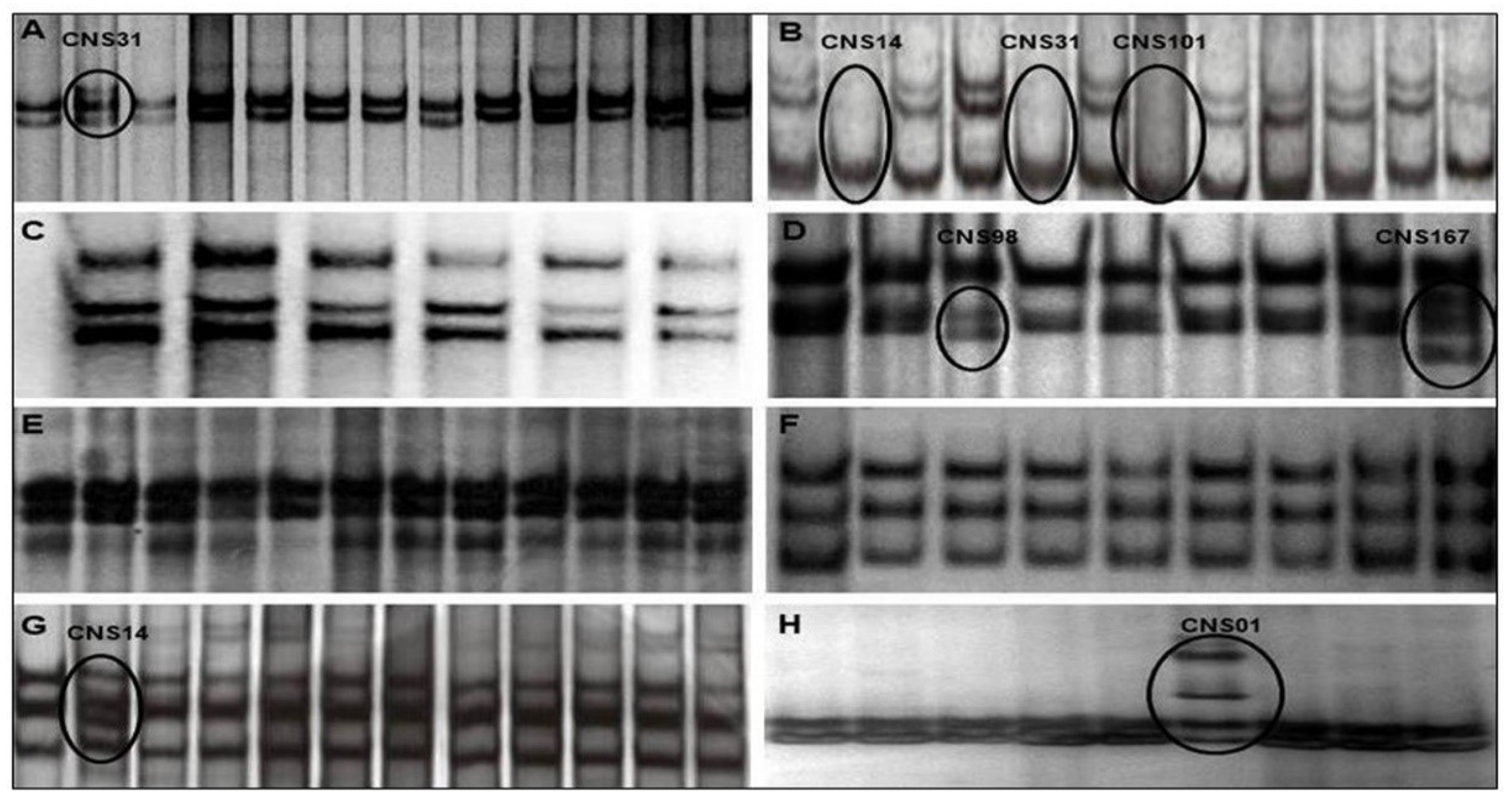 Ijms 20 02658 g001