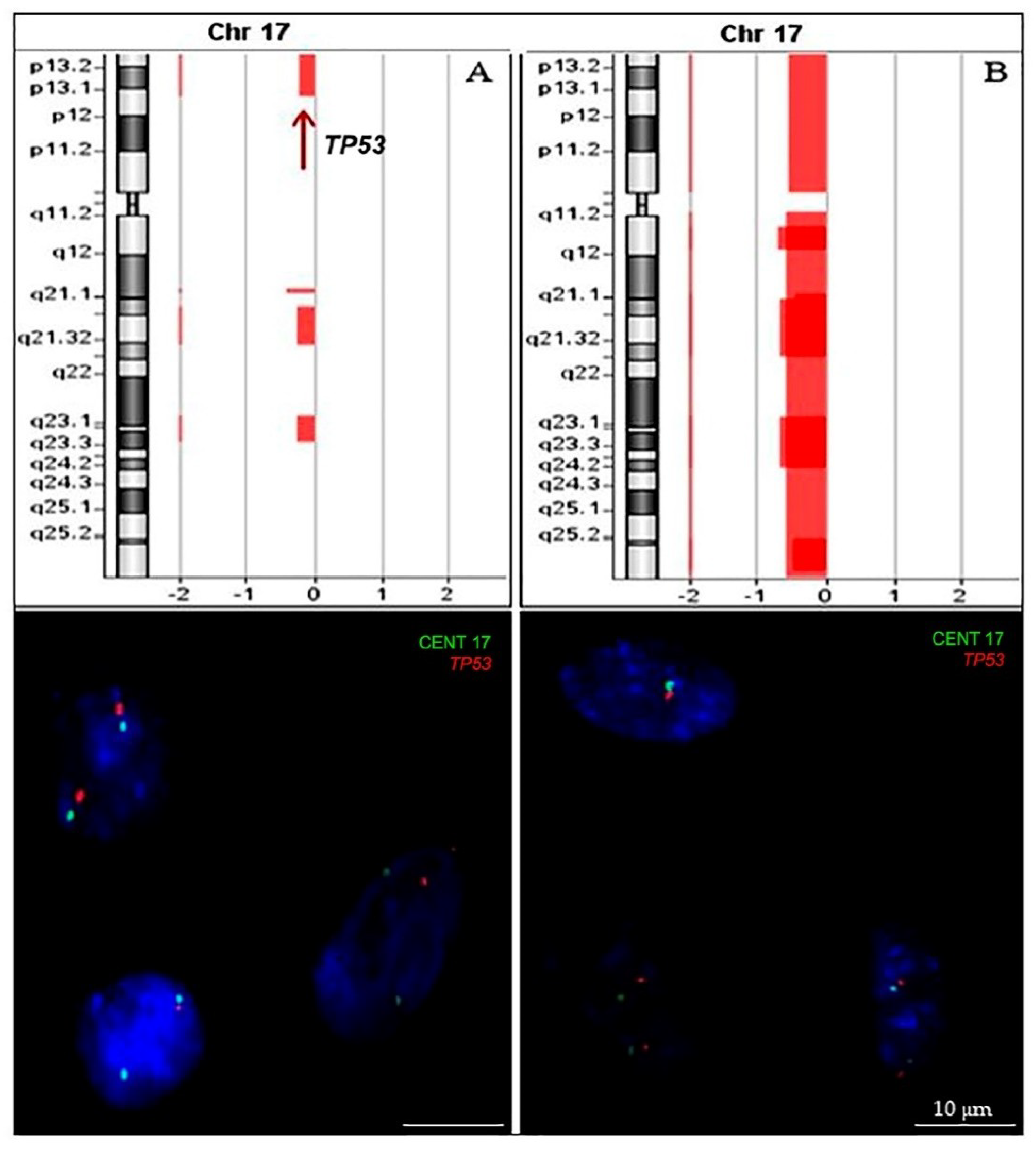 Ijms 20 02658 g003