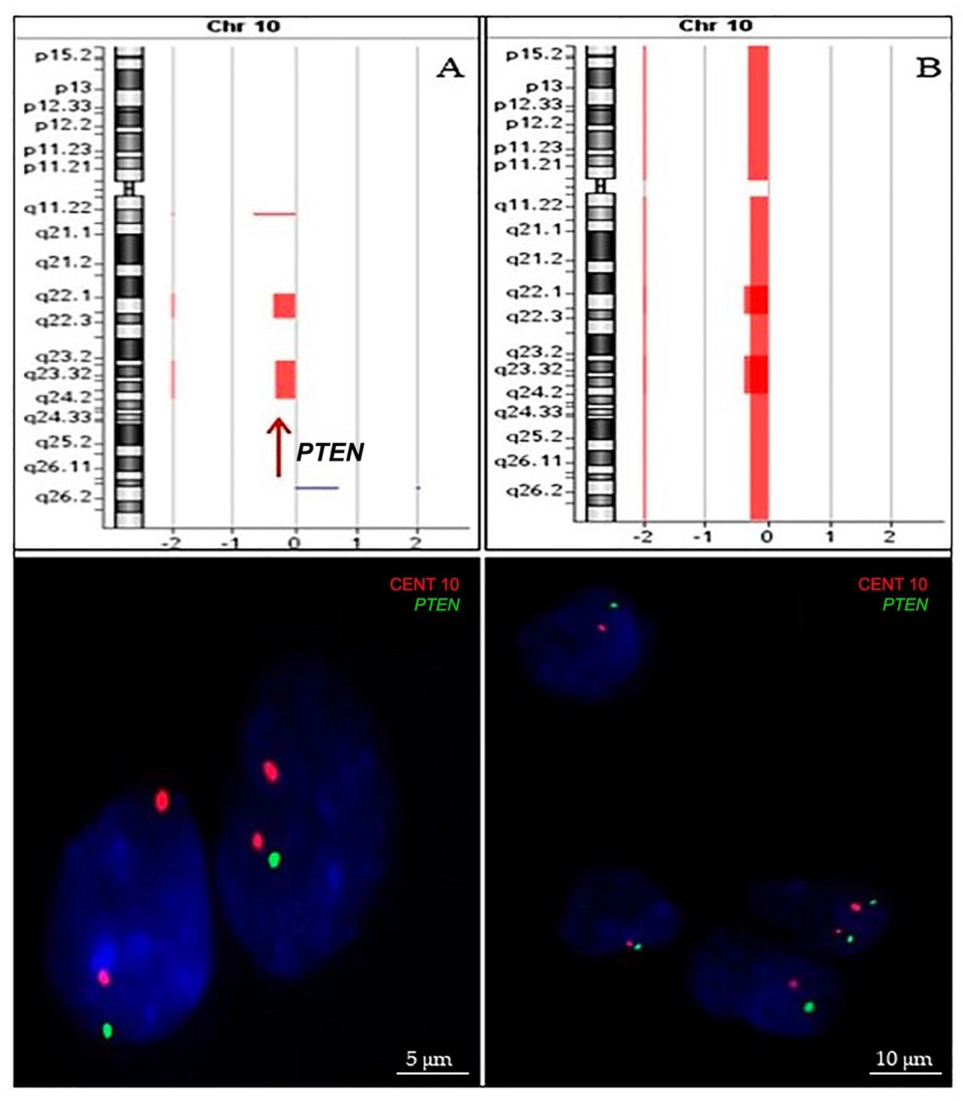 Ijms 20 02658 g004