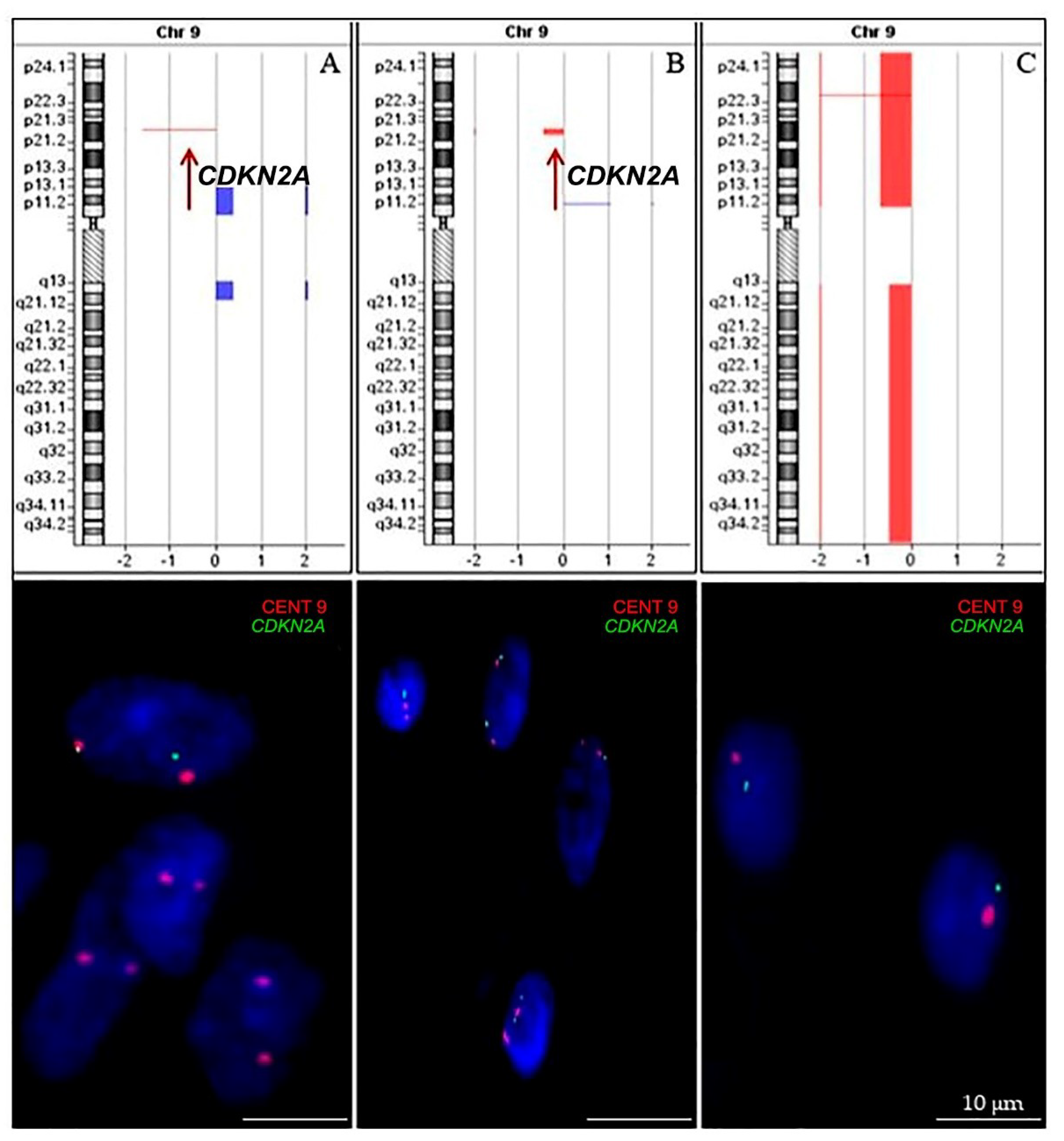 Ijms 20 02658 g006