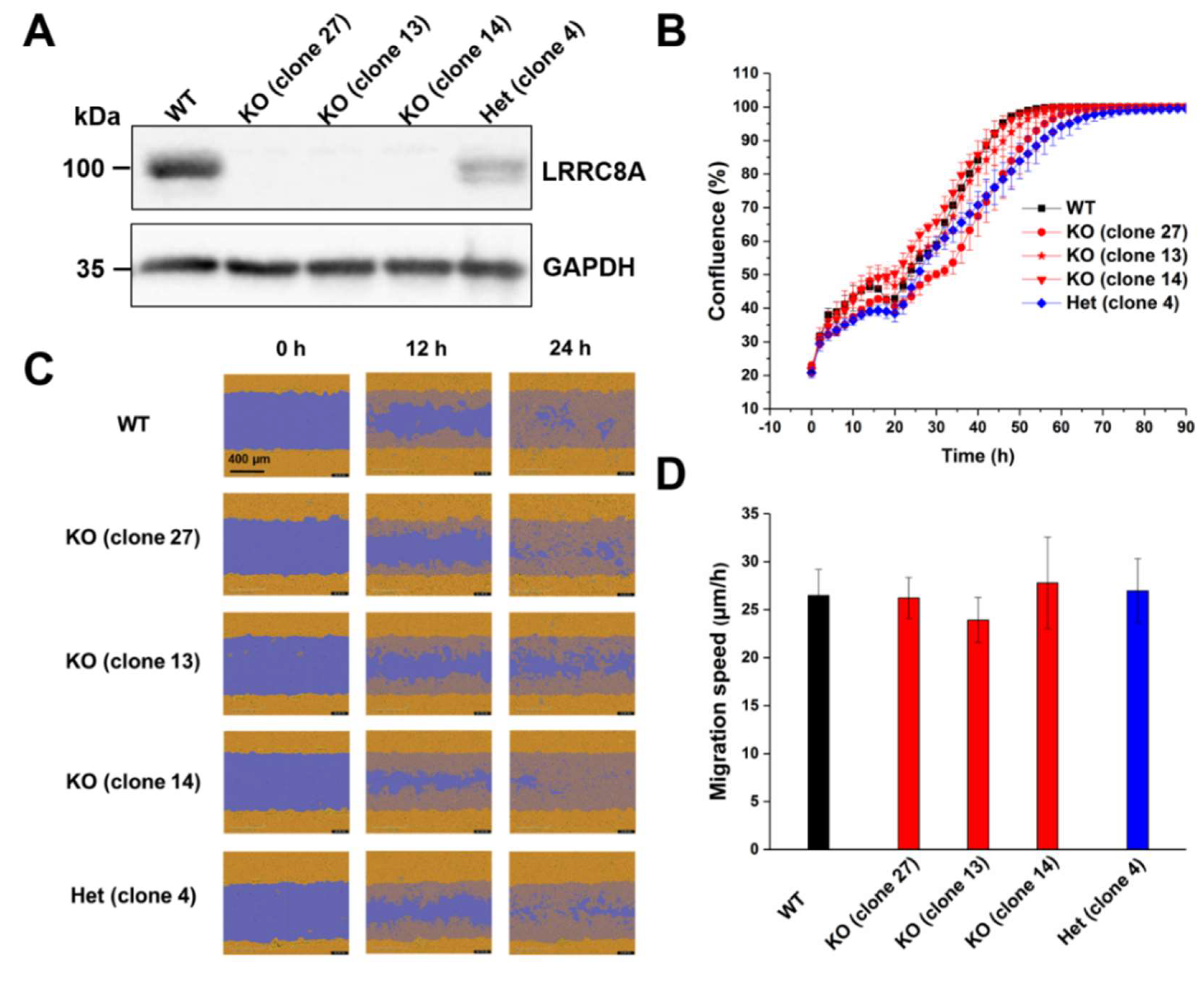 Ijms 20 02663 g001 Ijms 20 02663 g001