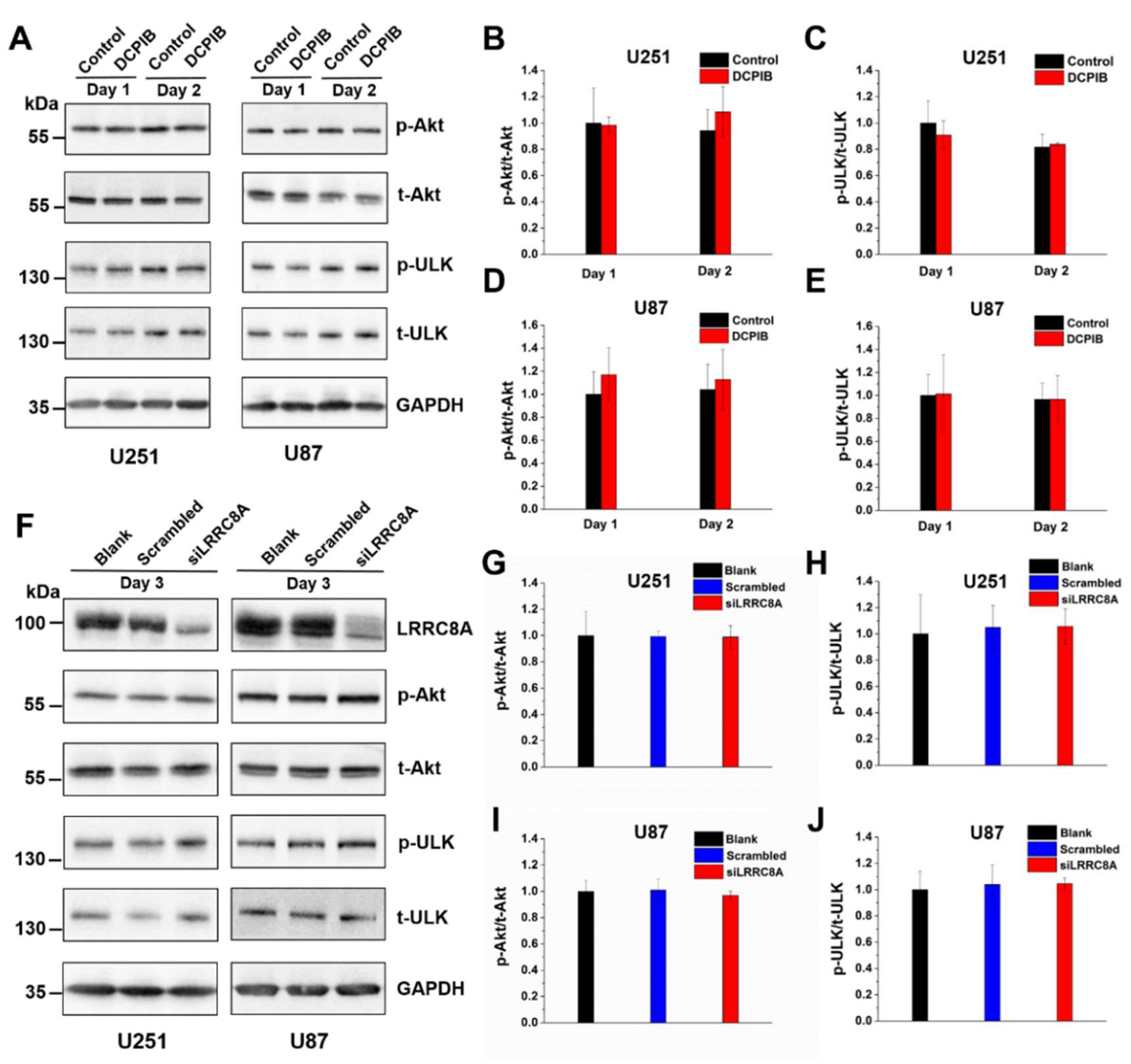Ijms 20 02663 g005 Ijms 20 02663 g005
