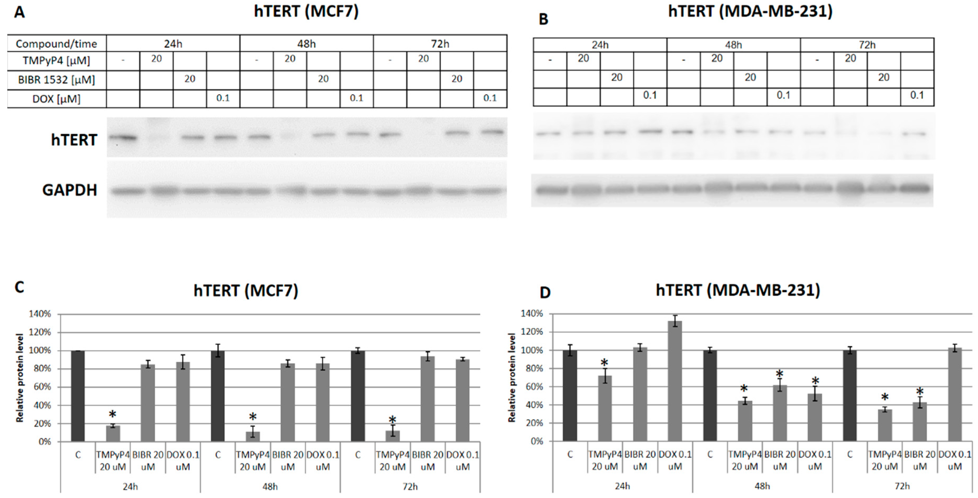Ijms 20 02670 g003 Ijms 20 02670 g003