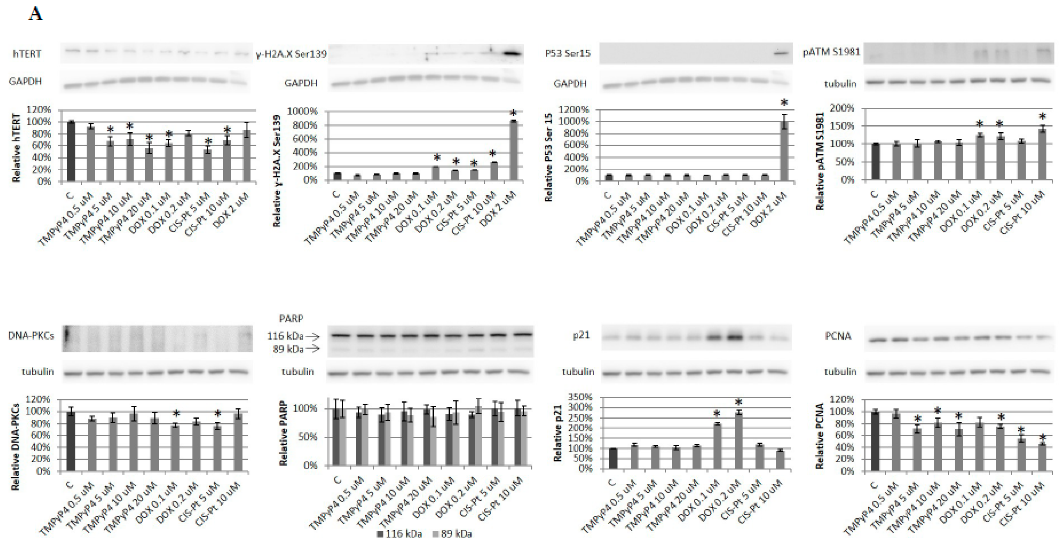 Ijms 20 02670 g006a Ijms 20 02670 g006a