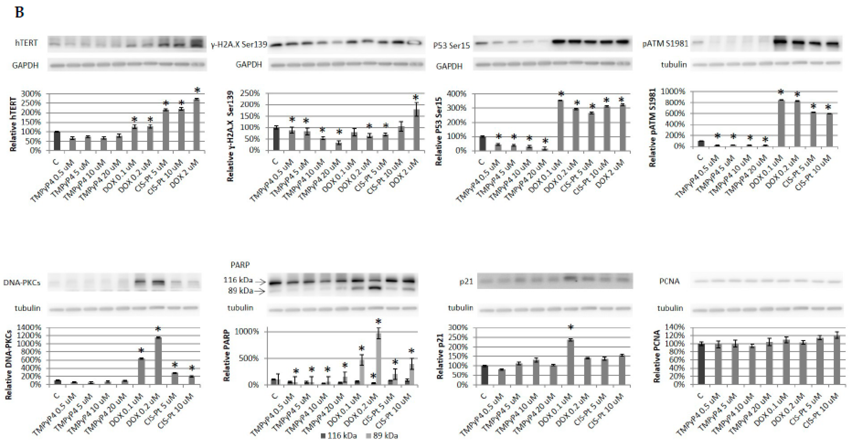 Ijms 20 02670 g006b Ijms 20 02670 g006b
